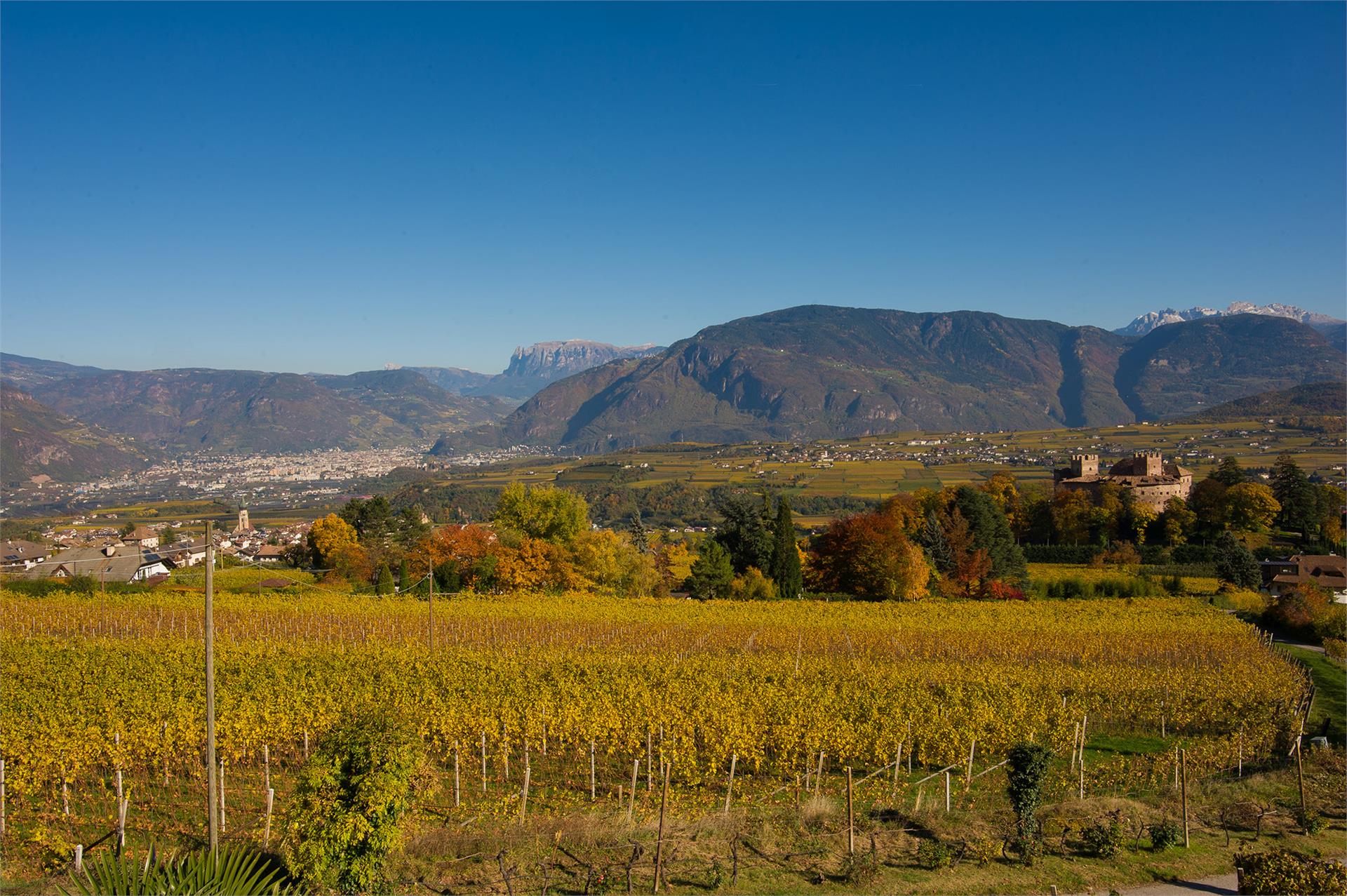 Haus Wolkan Eppan an der Weinstraße 19 suedtirol.info