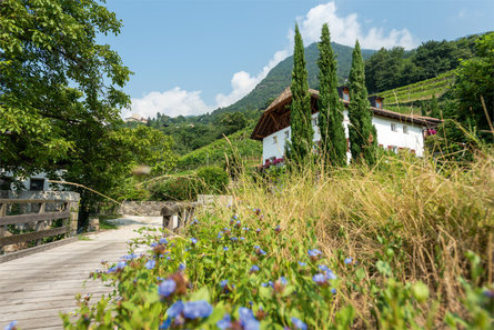 Huber Hof Merano 1 suedtirol.info