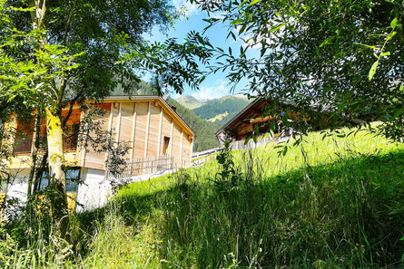 Hoferhof Valle di Casies 13 suedtirol.info