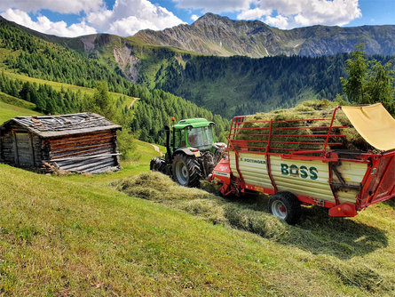 Hoferhof Valle di Casies 10 suedtirol.info