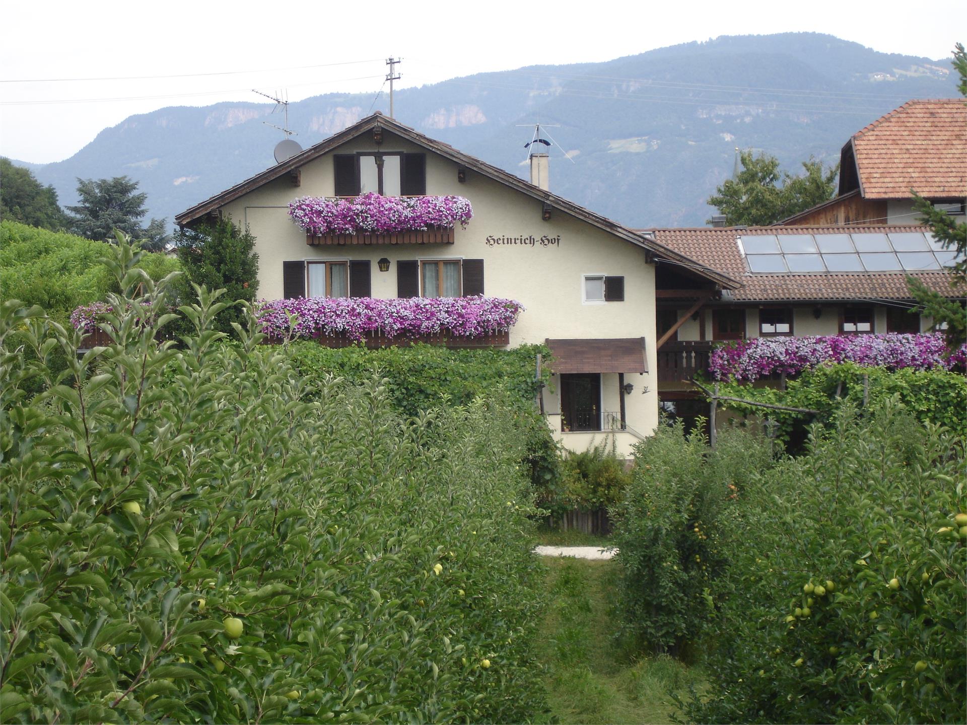 Heinrichhof - Resch Heinrich Eppan an der Weinstaße/Appiano sulla Strada del Vino 1 suedtirol.info