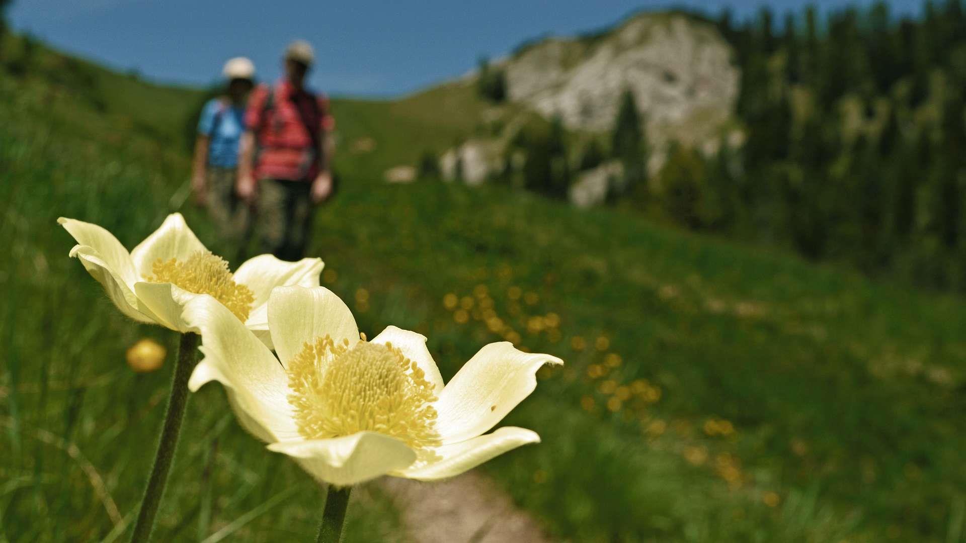 Hotel Trenker Prags/Braies 5 suedtirol.info