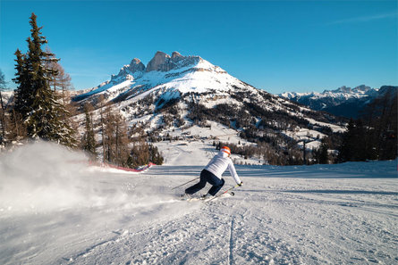 Hotel Alpenrose Welschnofen/Nova Levante 3 suedtirol.info