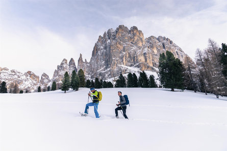 Hotel Alpenrose Nova Levante 10 suedtirol.info