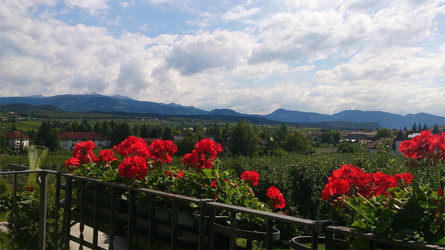 Haus Maderneid Appiano sulla Strada del Vino 3 suedtirol.info