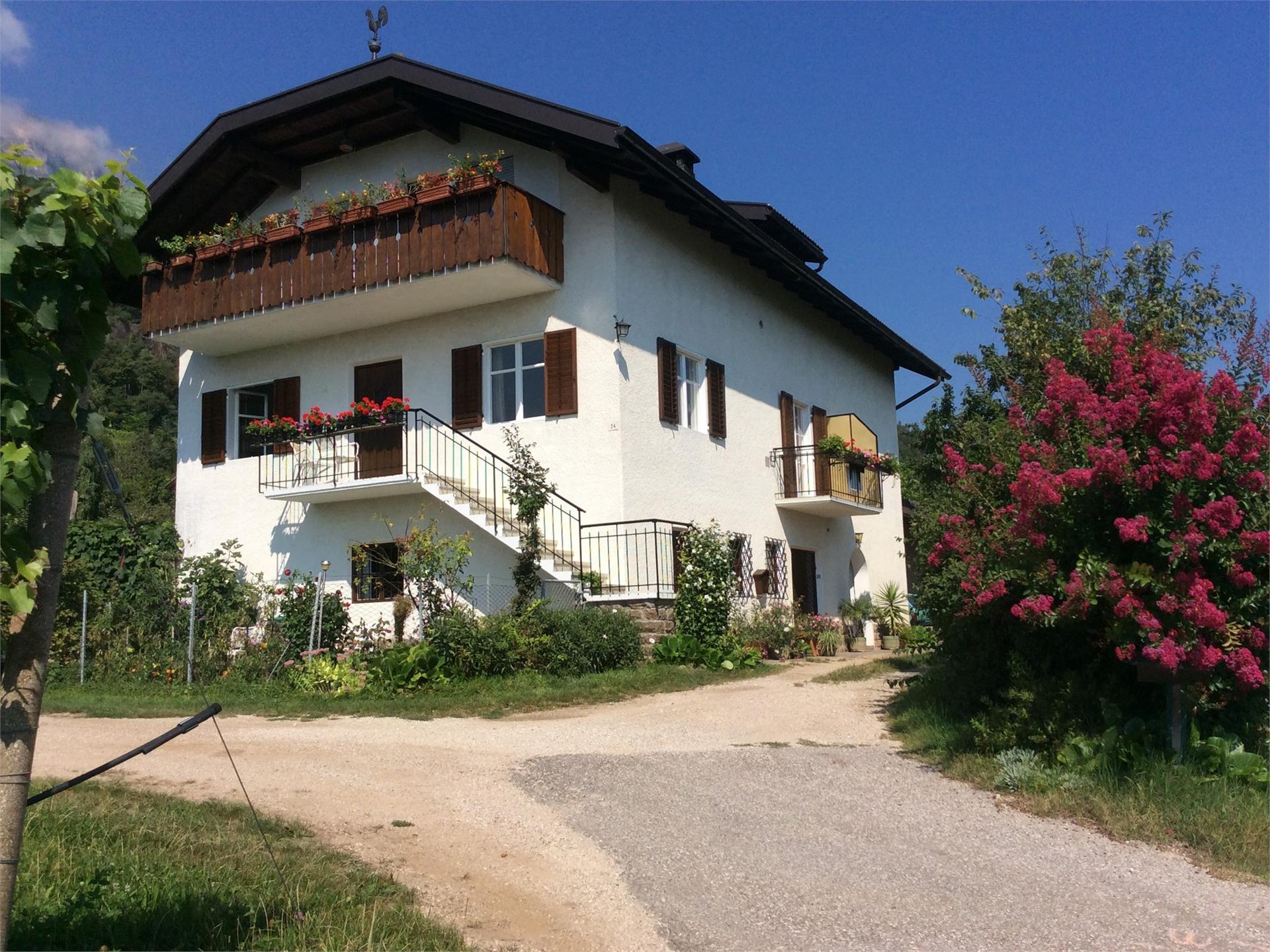 Haas Maria Luise Eppan an der Weinstaße/Appiano sulla Strada del Vino 1 suedtirol.info