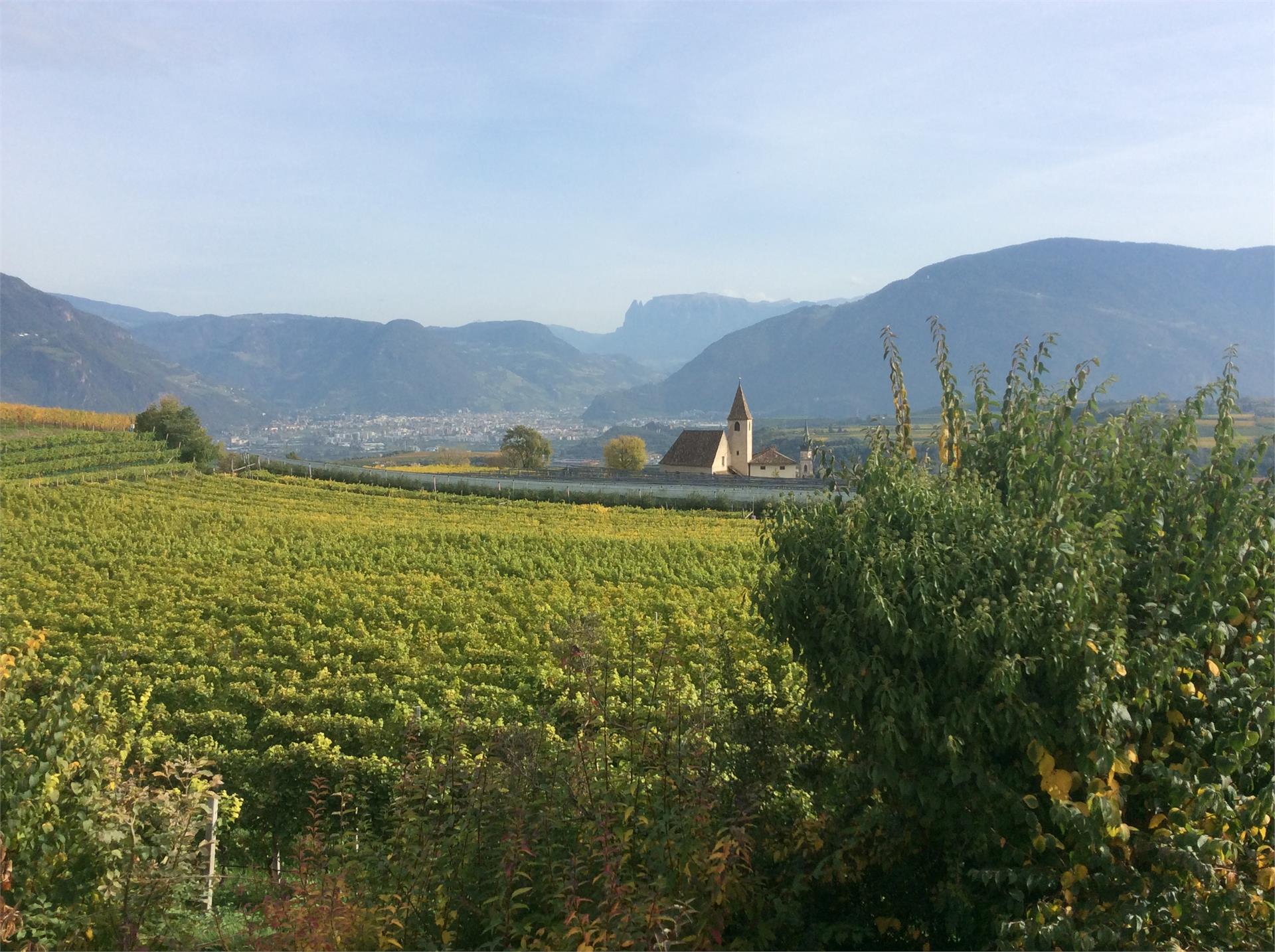 Haas Maria Luise Eppan an der Weinstaße/Appiano sulla Strada del Vino 16 suedtirol.info