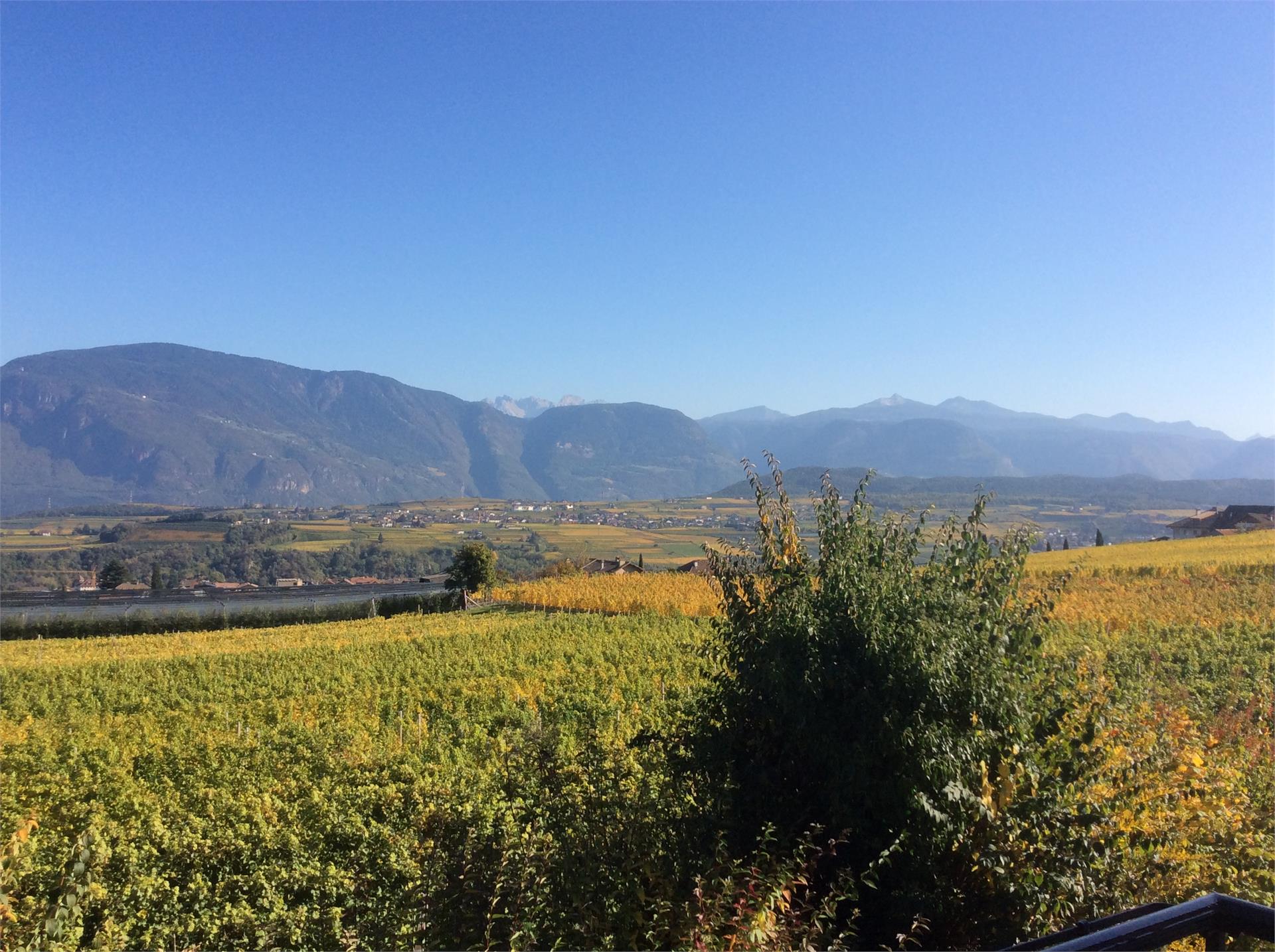 Haas Maria Luise Eppan an der Weinstaße/Appiano sulla Strada del Vino 15 suedtirol.info