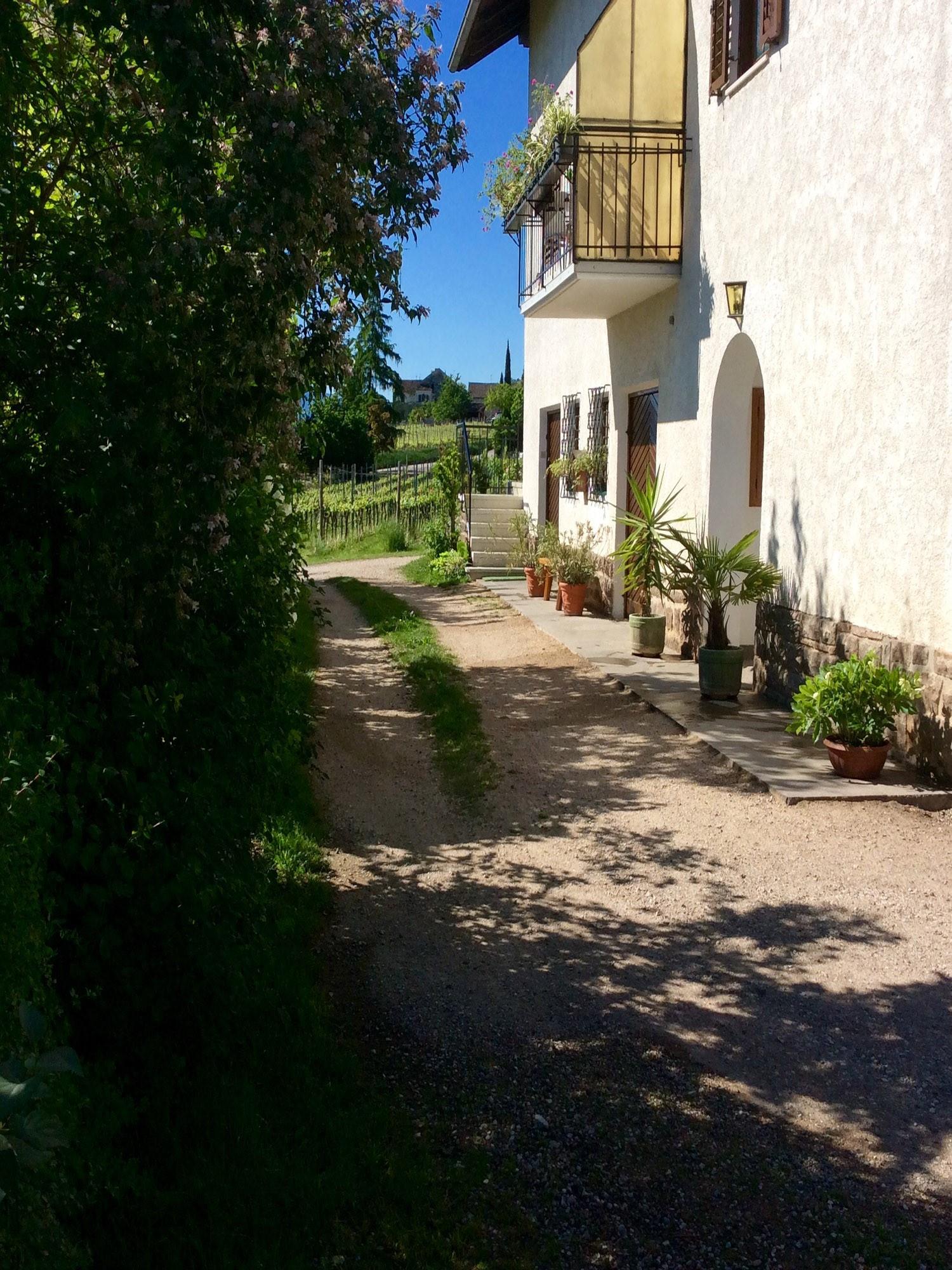 Haas Maria Luise Eppan an der Weinstaße/Appiano sulla Strada del Vino 8 suedtirol.info