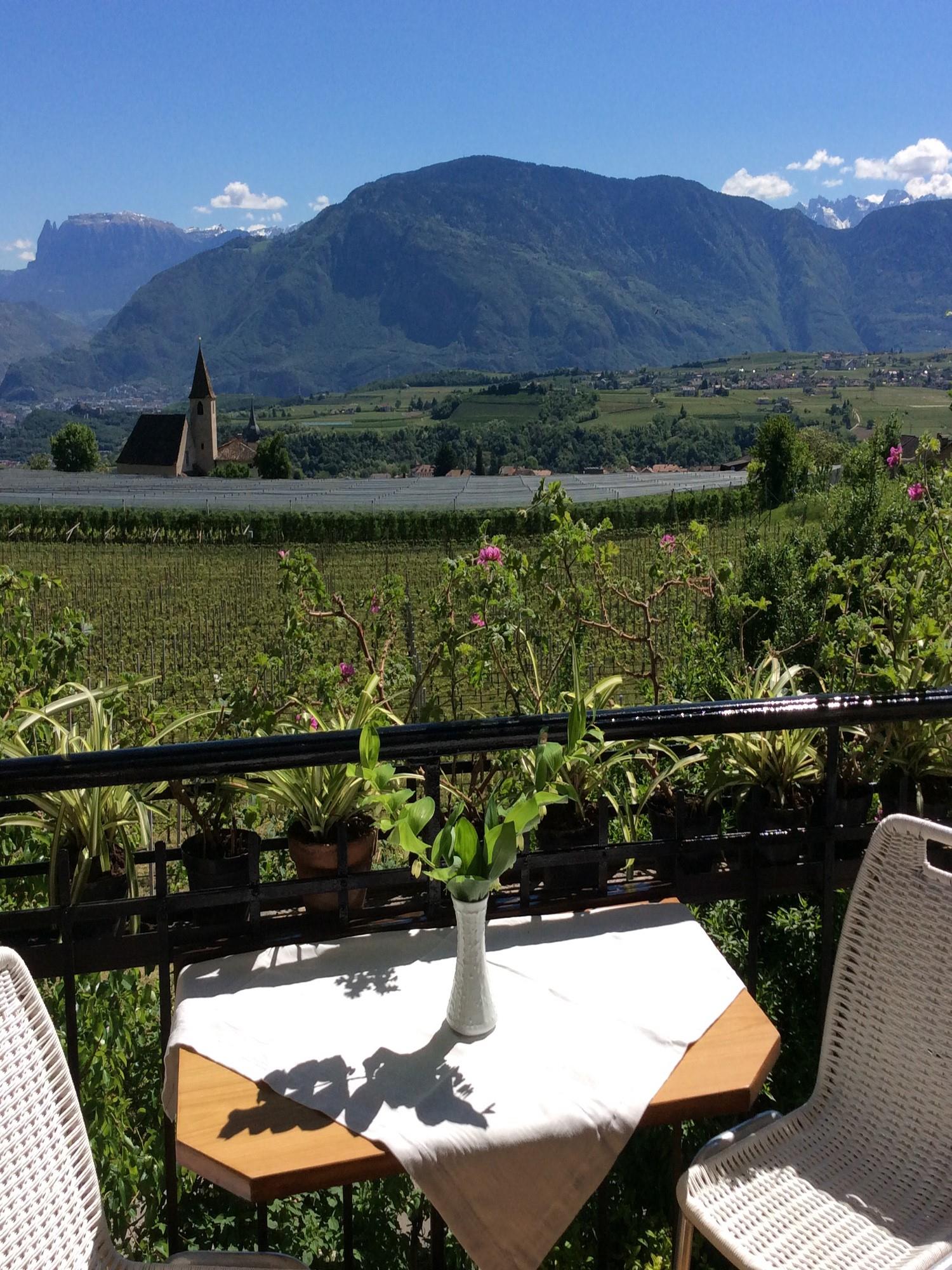 Haas Maria Luise Eppan an der Weinstaße/Appiano sulla Strada del Vino 4 suedtirol.info