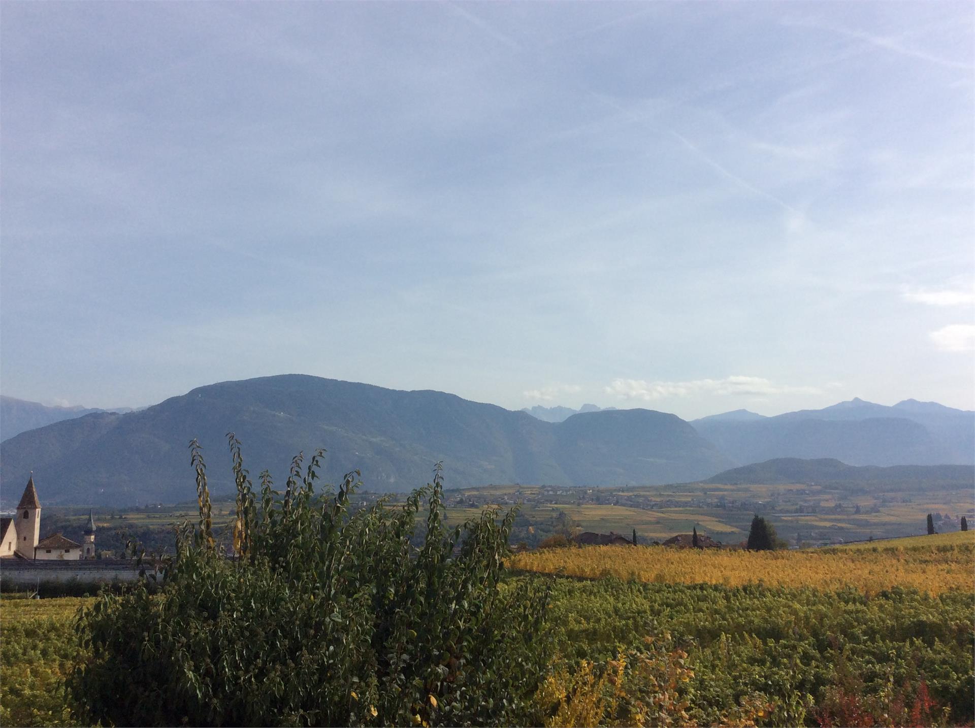 Haas Maria Luise Eppan an der Weinstaße/Appiano sulla Strada del Vino 17 suedtirol.info