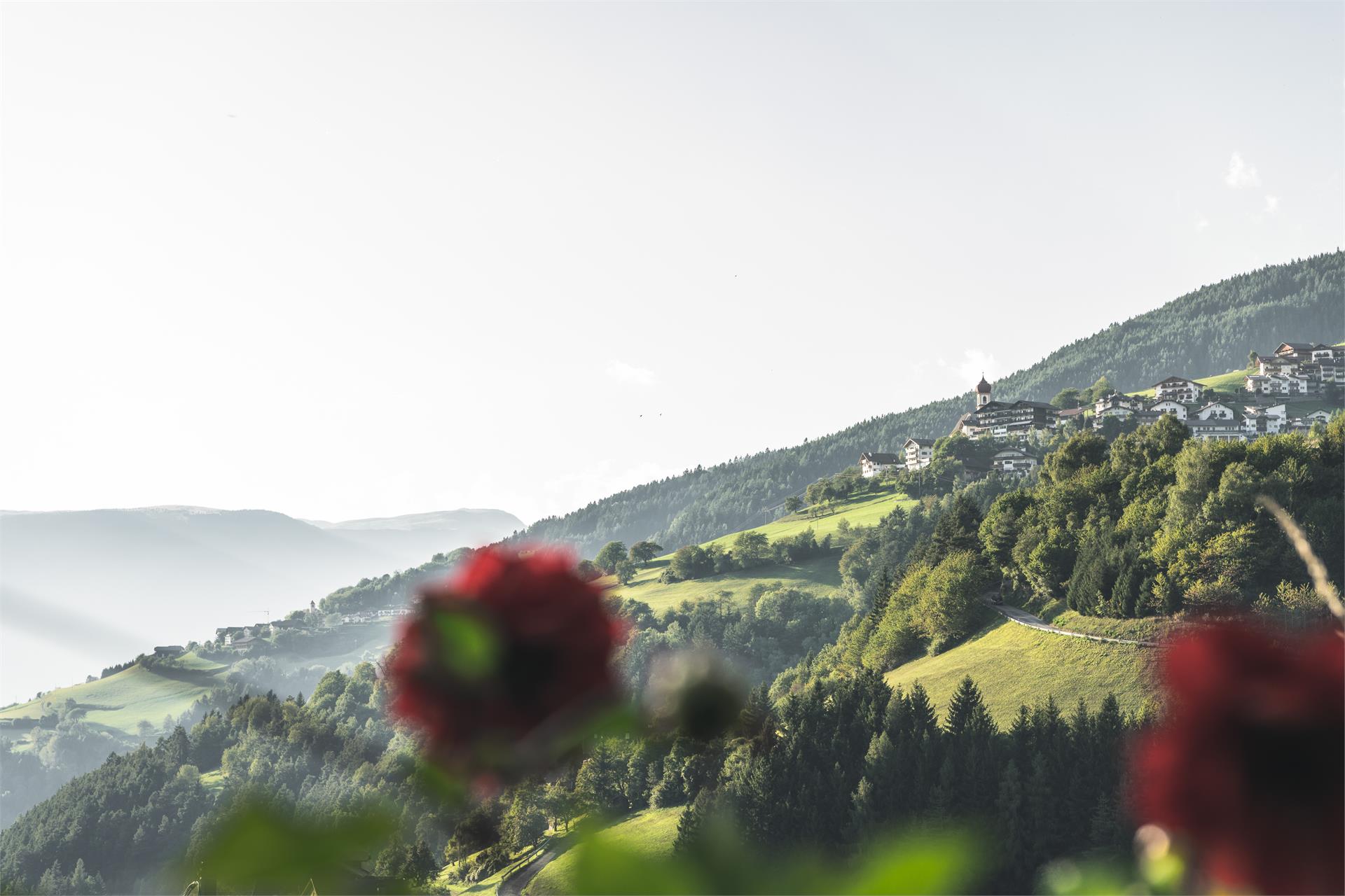 Haus Sonnleitn Lajen 10 suedtirol.info