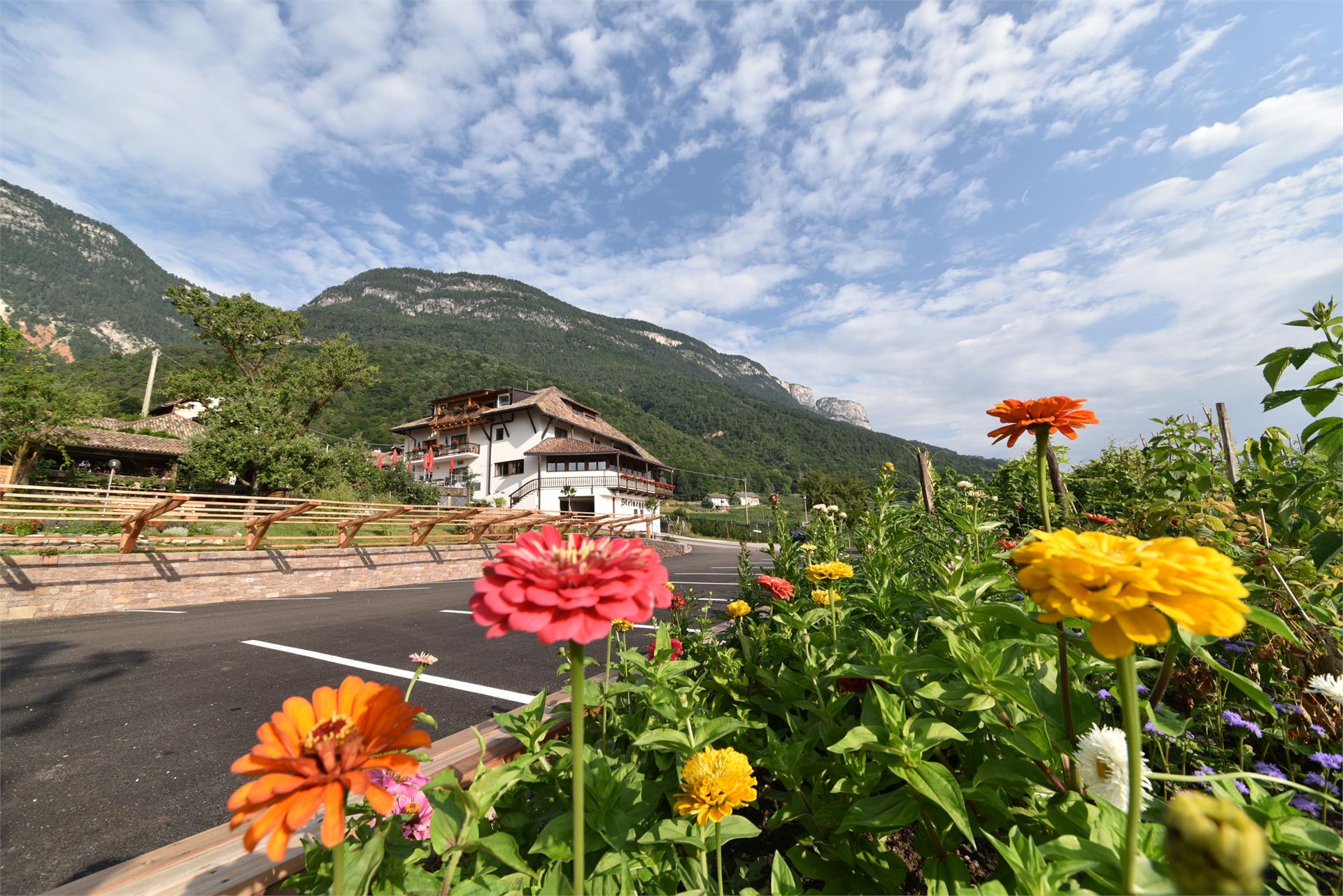 Hotel Steinegger Eppan an der Weinstraße 8 suedtirol.info