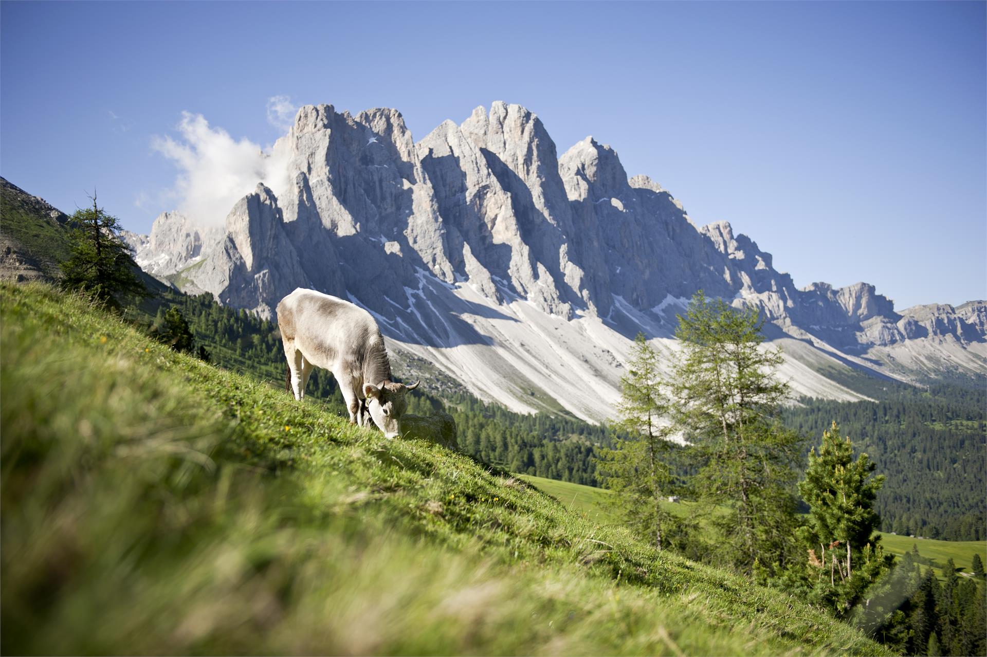 Hotel Fines Villnöss/Funes 3 suedtirol.info