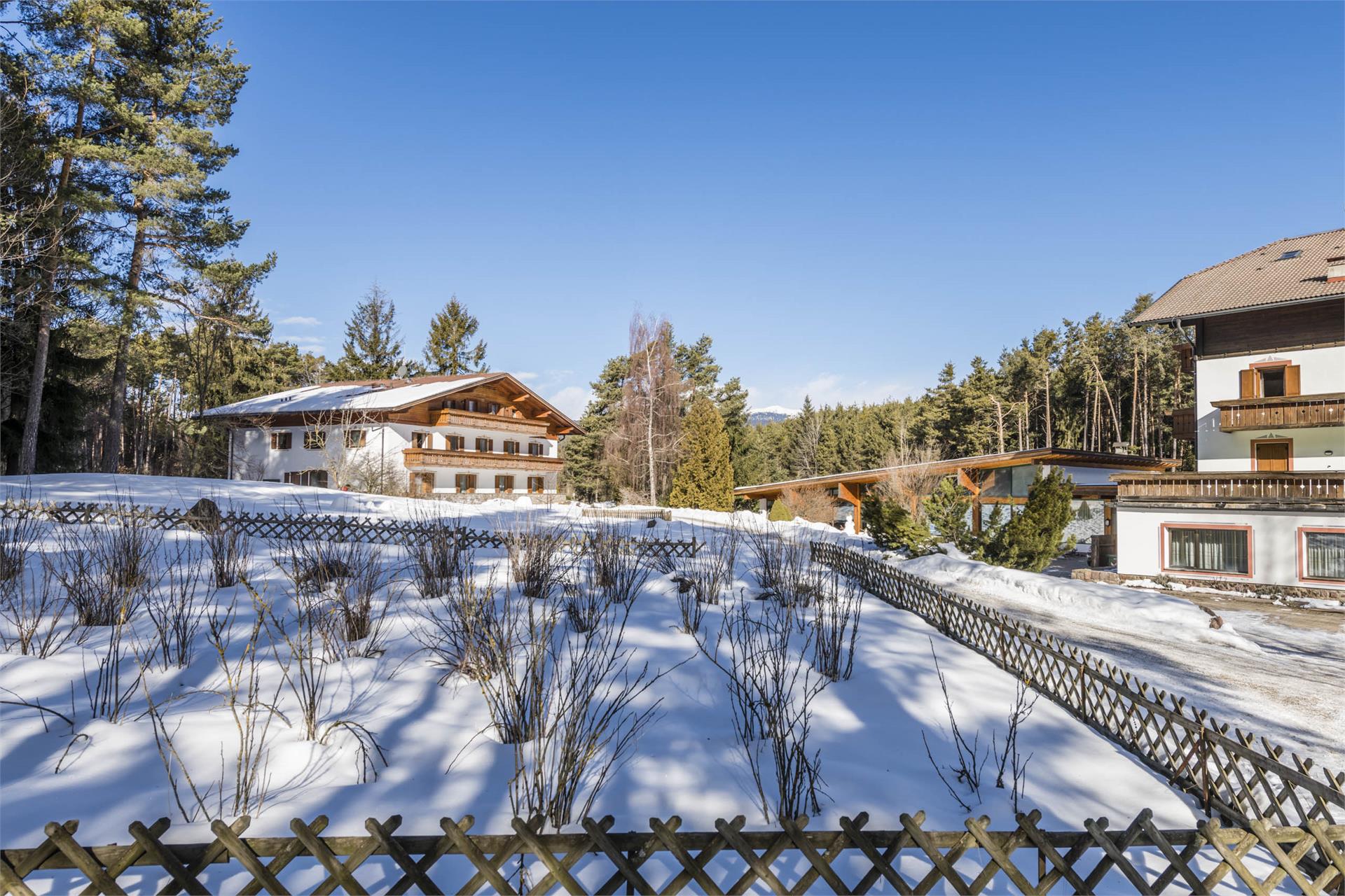 Hotel Waldsee Fiè allo Sciliar 15 suedtirol.info