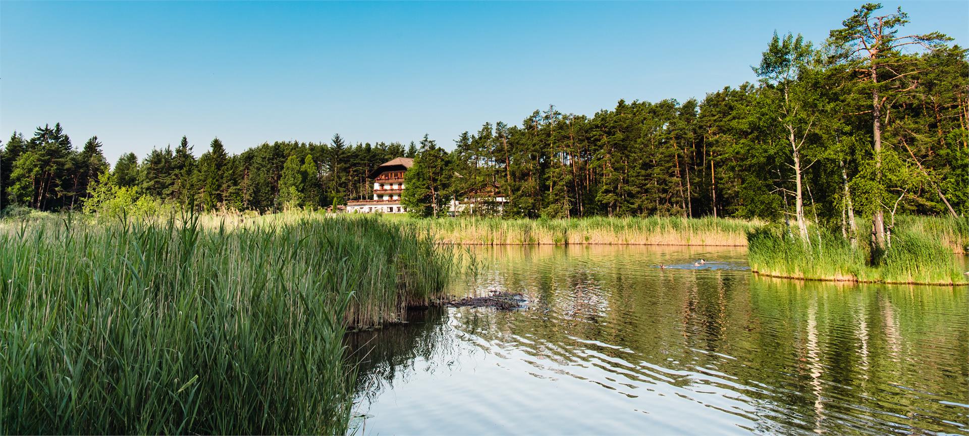 Hotel Waldsee Fiè allo Sciliar 20 suedtirol.info