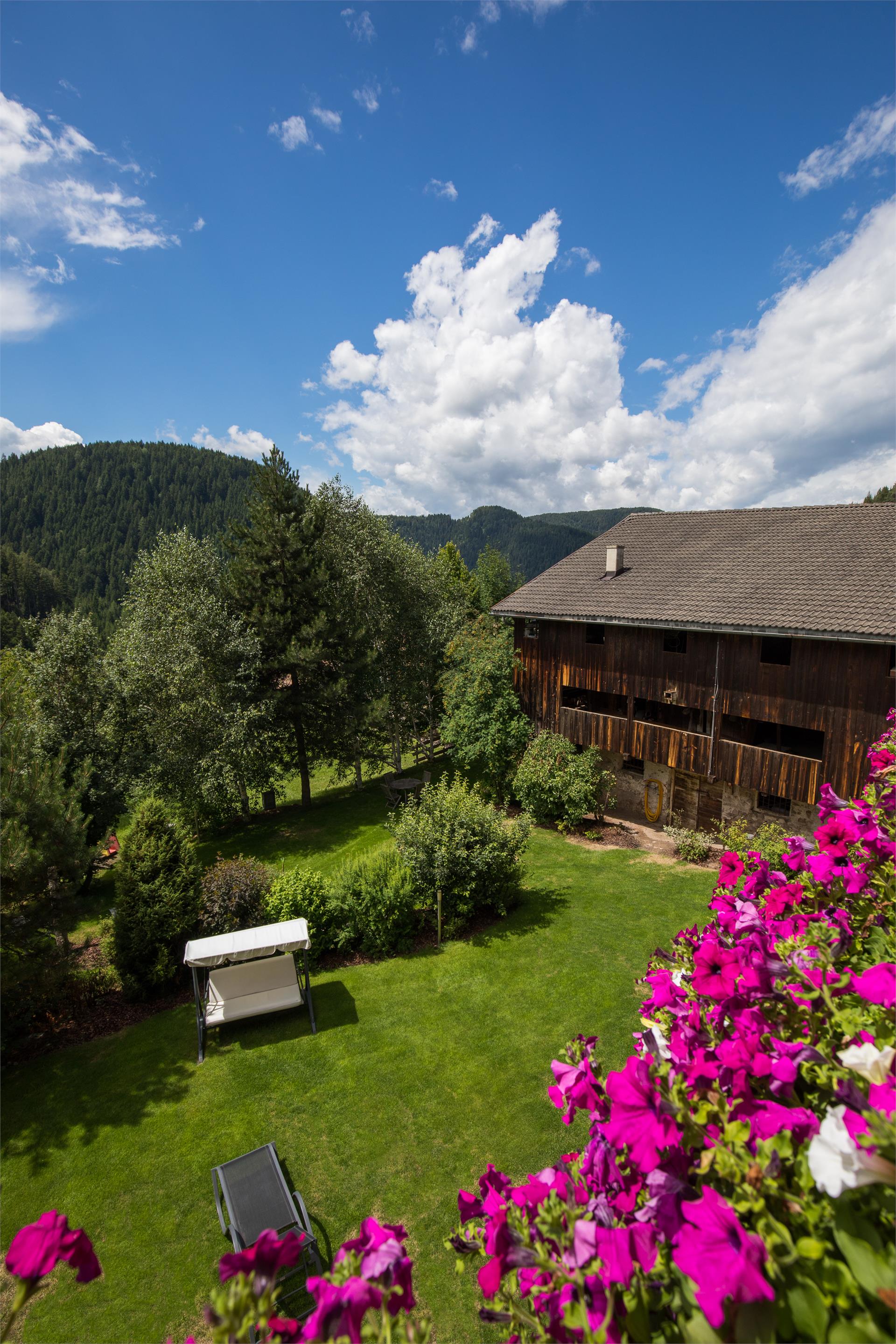 Hotel Gasserhof Deutschnofen/Nova Ponente 12 suedtirol.info