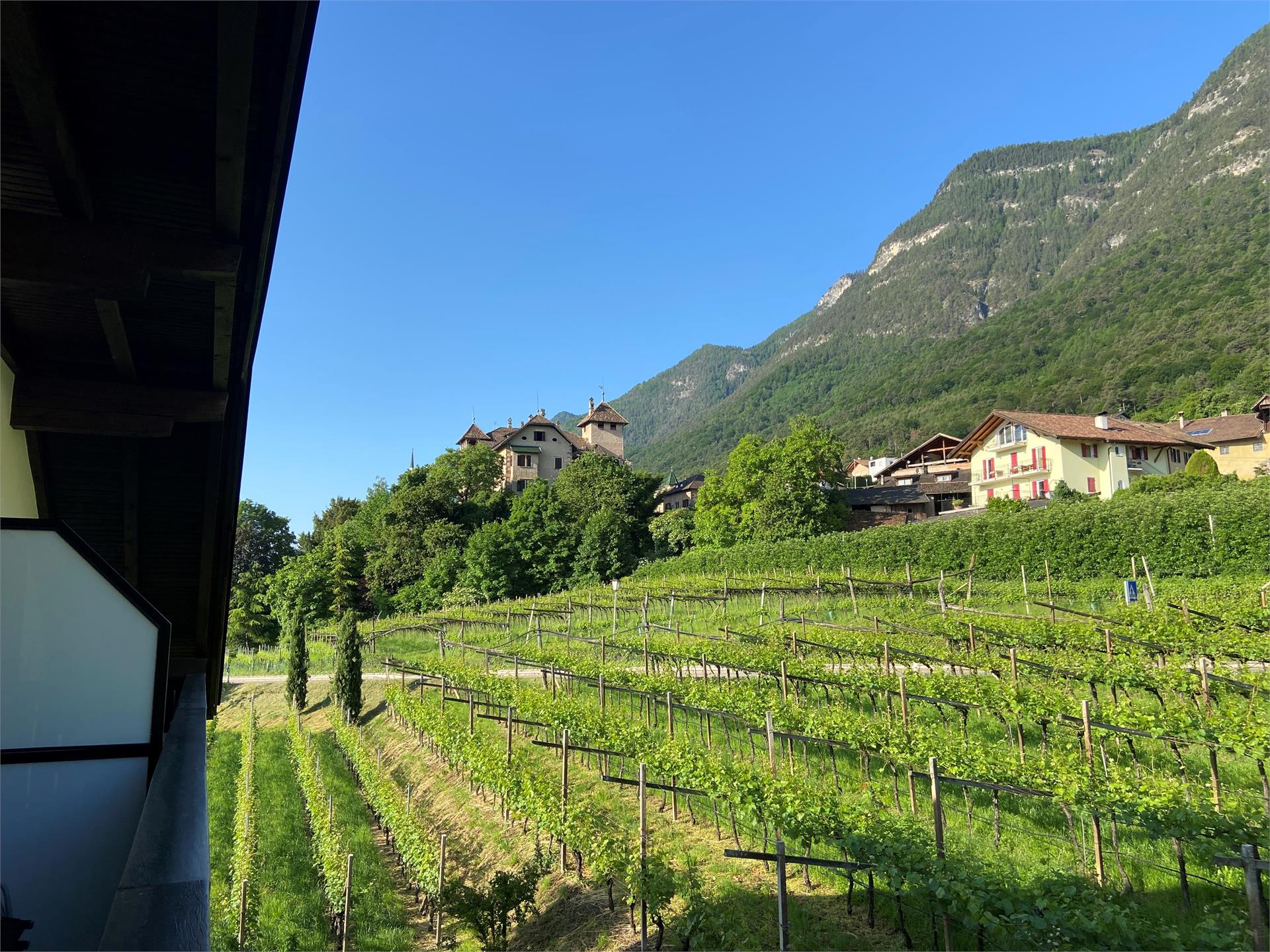 Haus Morandell Erich Kaltern an der Weinstraße 25 suedtirol.info