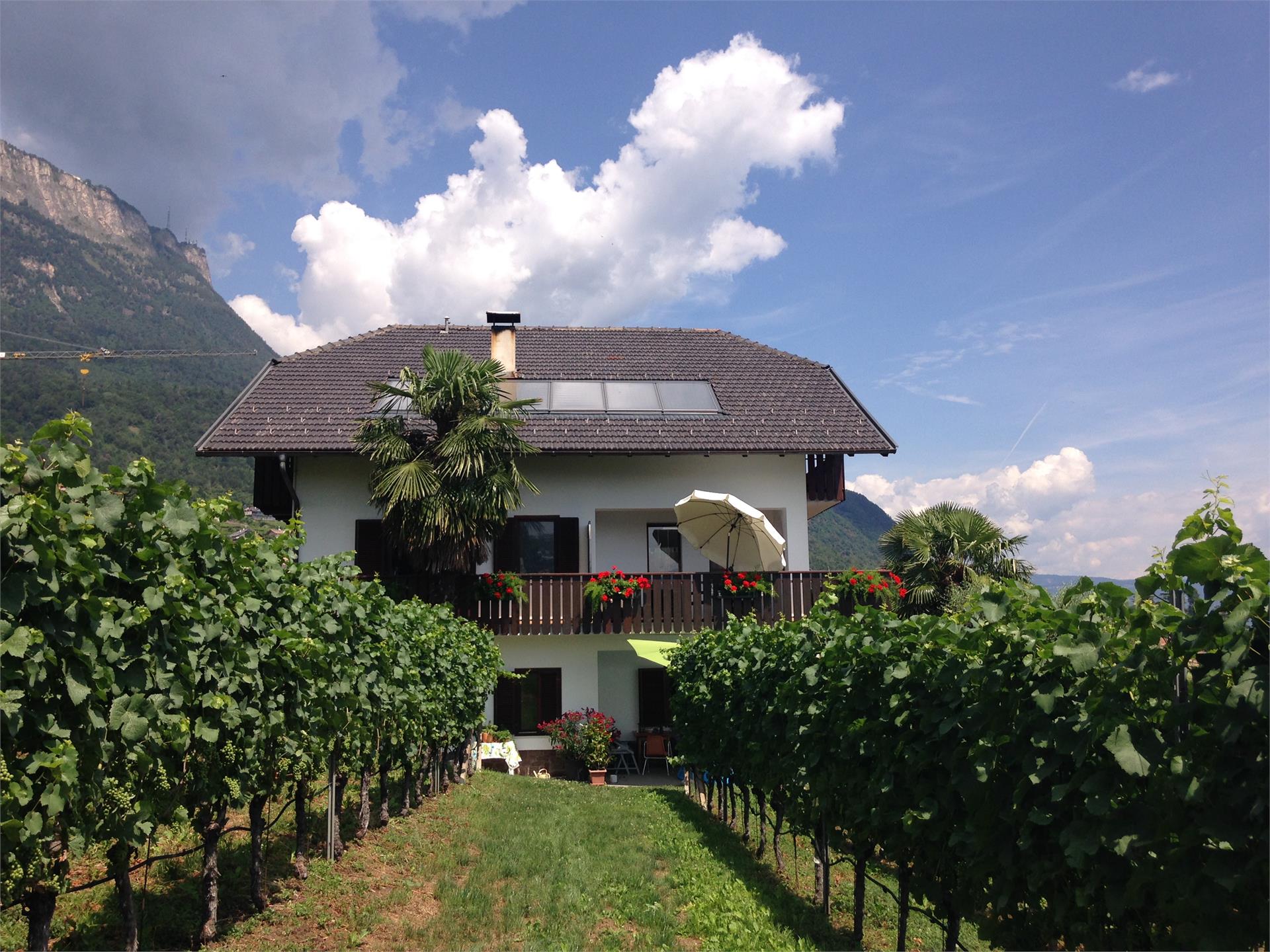 Haus Morandell Erich Kaltern an der Weinstraße 4 suedtirol.info