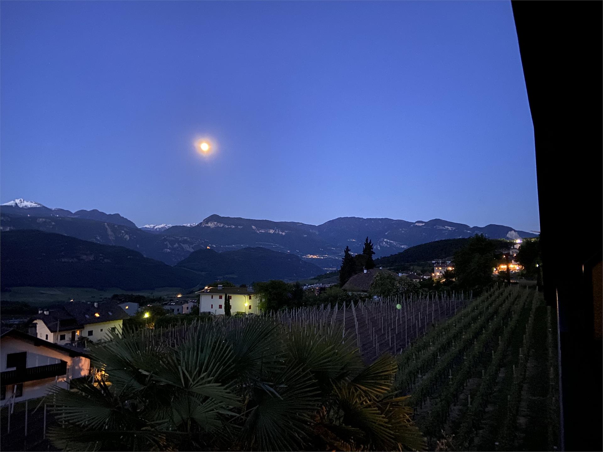 Haus Morandell Erich Kaltern an der Weinstraße 18 suedtirol.info