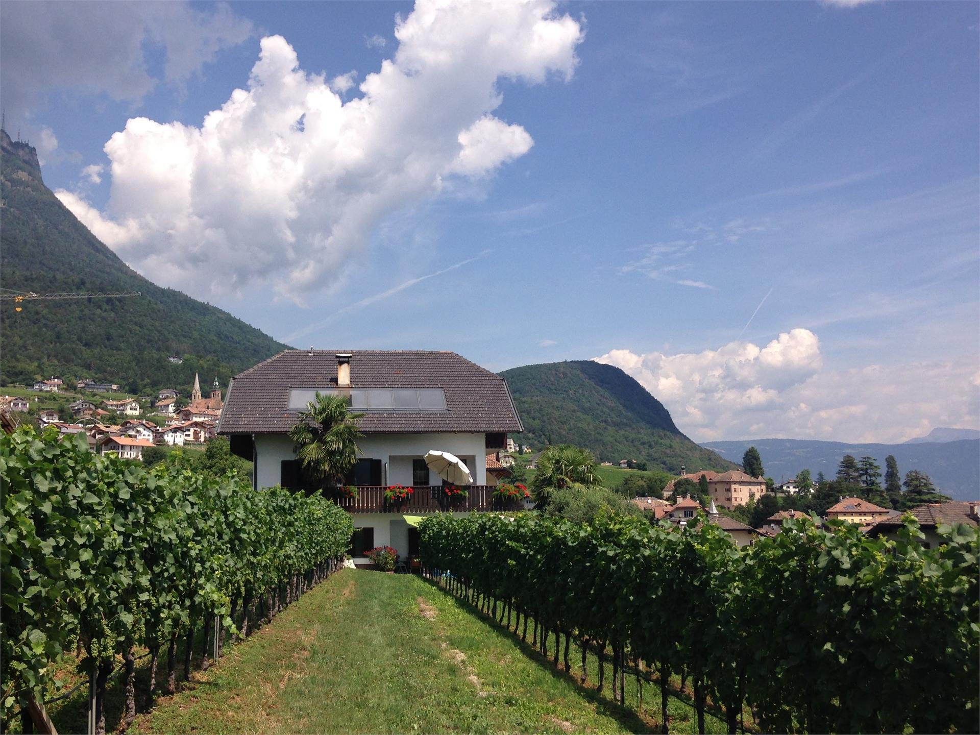 Haus Morandell Erich Kaltern an der Weinstraße 3 suedtirol.info