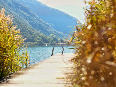 Haus Seerose Kaltern an der Weinstraße/Caldaro sulla Strada del Vino 1 suedtirol.info