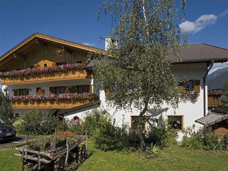 Hotel Restaurant Pizzeria Thuinerwaldele Sterzing 1 suedtirol.info