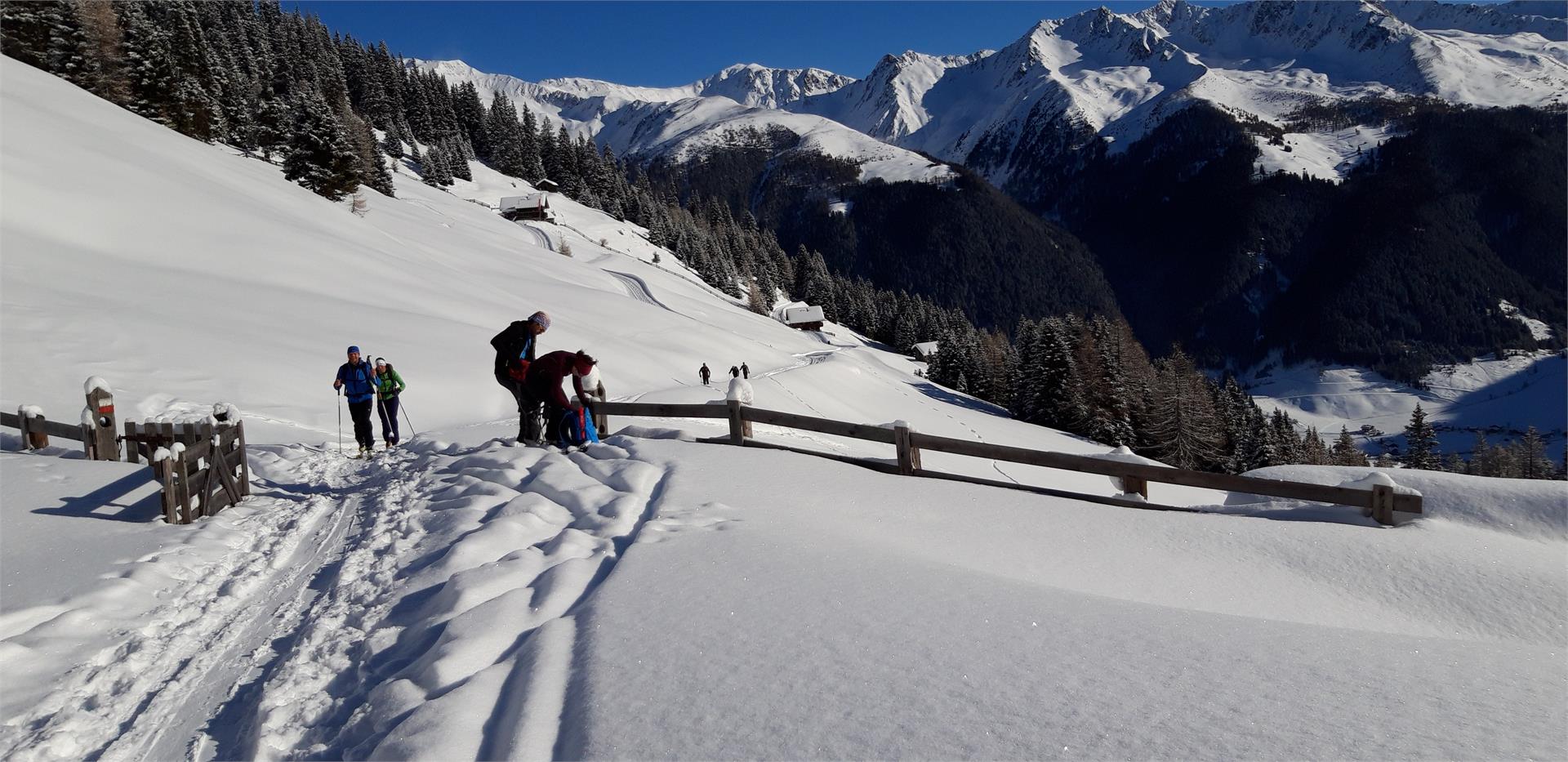 Haus Schaller Gsies/Valle di Casies 28 suedtirol.info