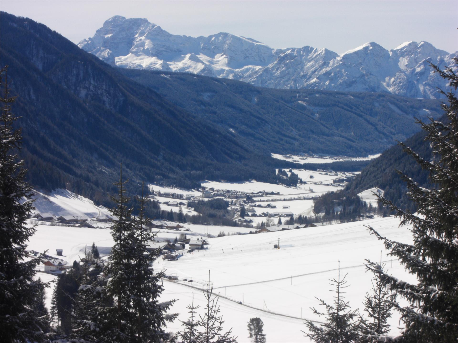 Haus Schaller Gsies/Valle di Casies 6 suedtirol.info