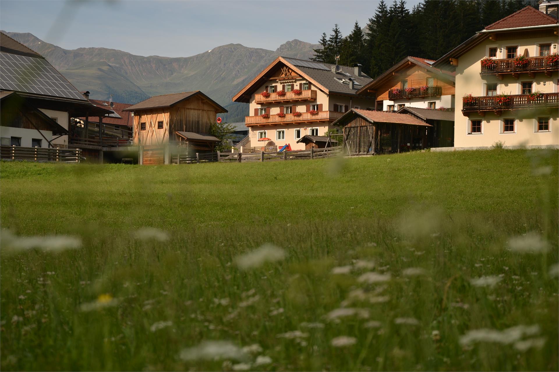 Haus Schaller Gsies/Valle di Casies 2 suedtirol.info