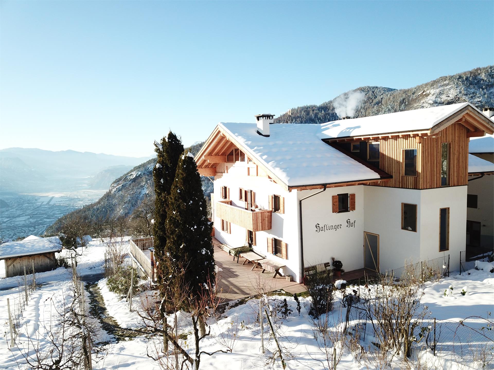 Haflinger Hof San Genesio Atesino 1 suedtirol.info