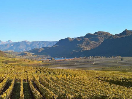 Haus Evi Tramin an der Weinstraße 3 suedtirol.info