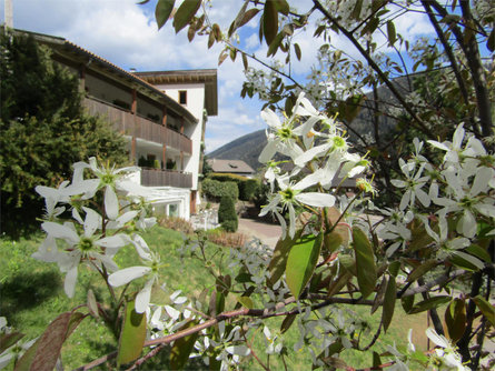 Hotel Unterpichl Ulten/Ultimo 21 suedtirol.info