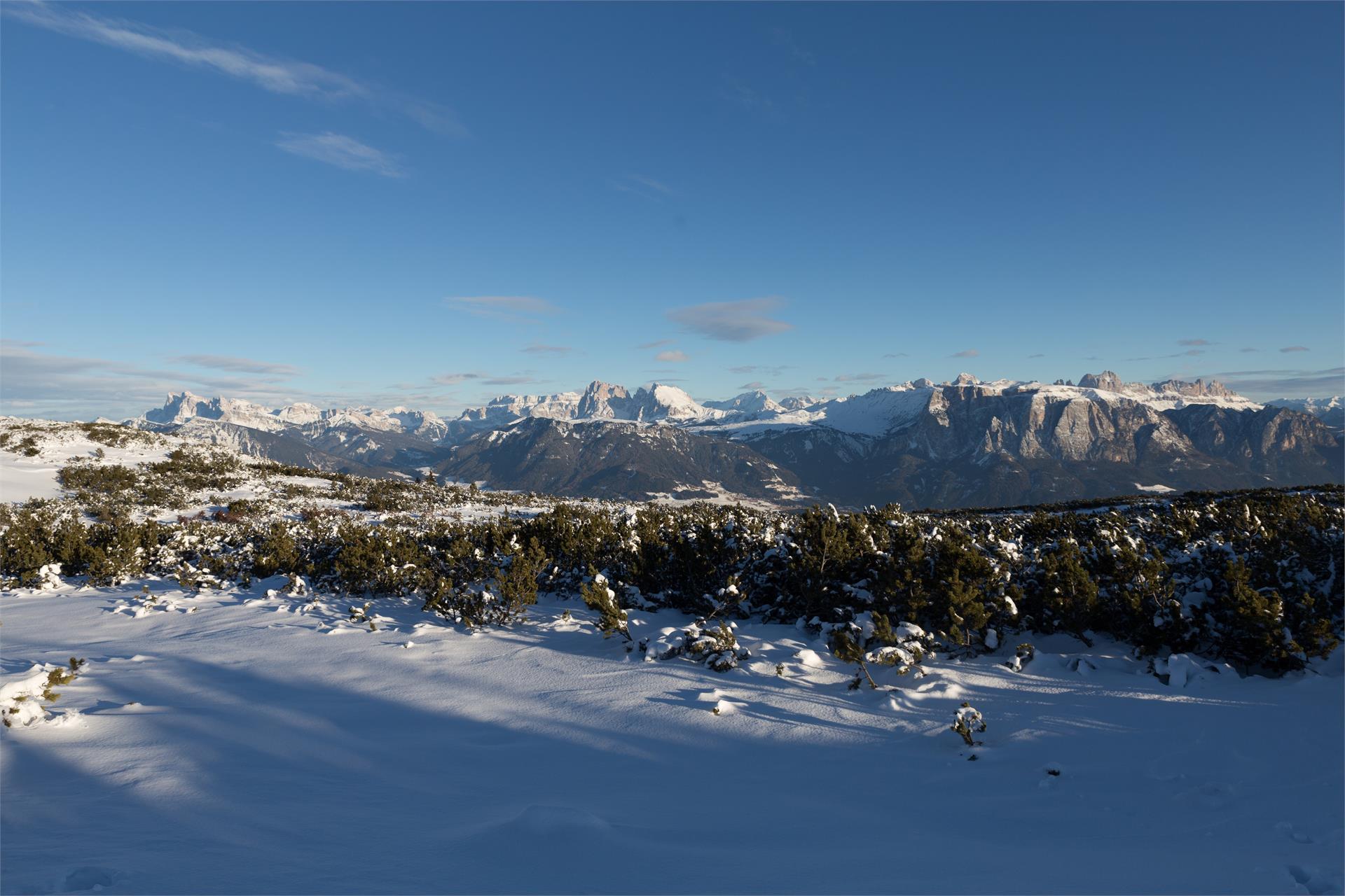 Hotel Haus an der Luck Barbian/Barbiano 28 suedtirol.info