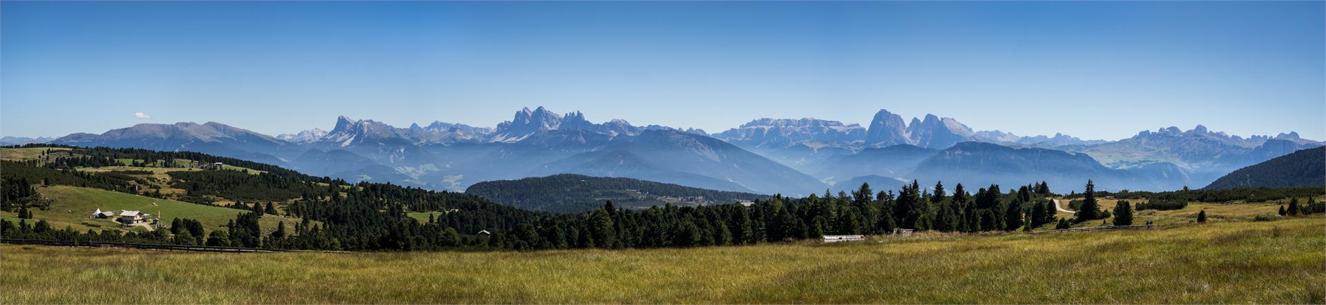 Hotel Haus an der Luck Barbian/Barbiano 30 suedtirol.info