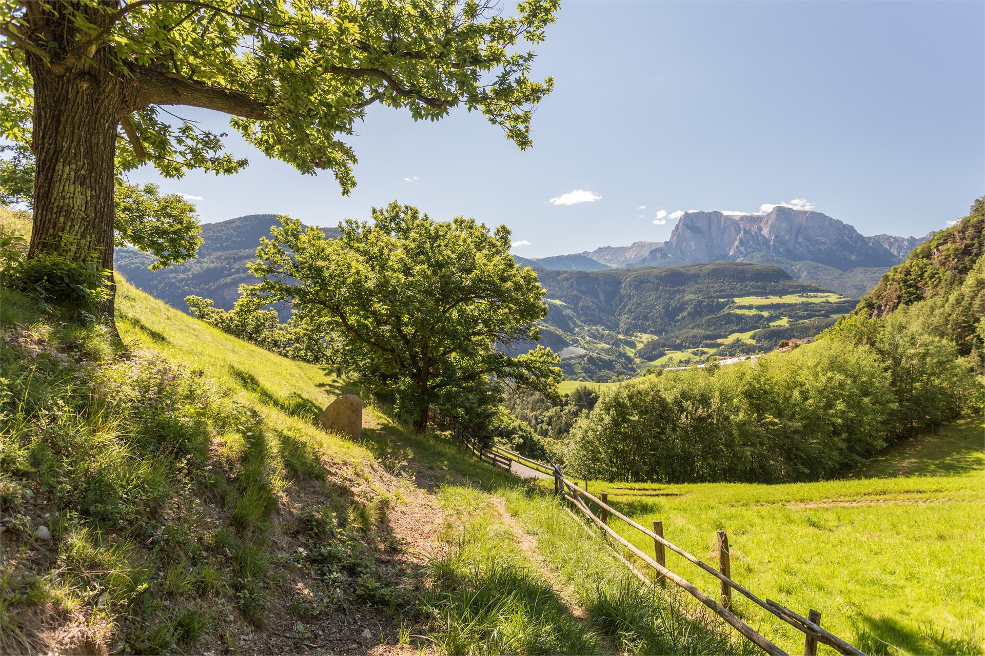 Hotel Haus an der Luck Barbian/Barbiano 27 suedtirol.info