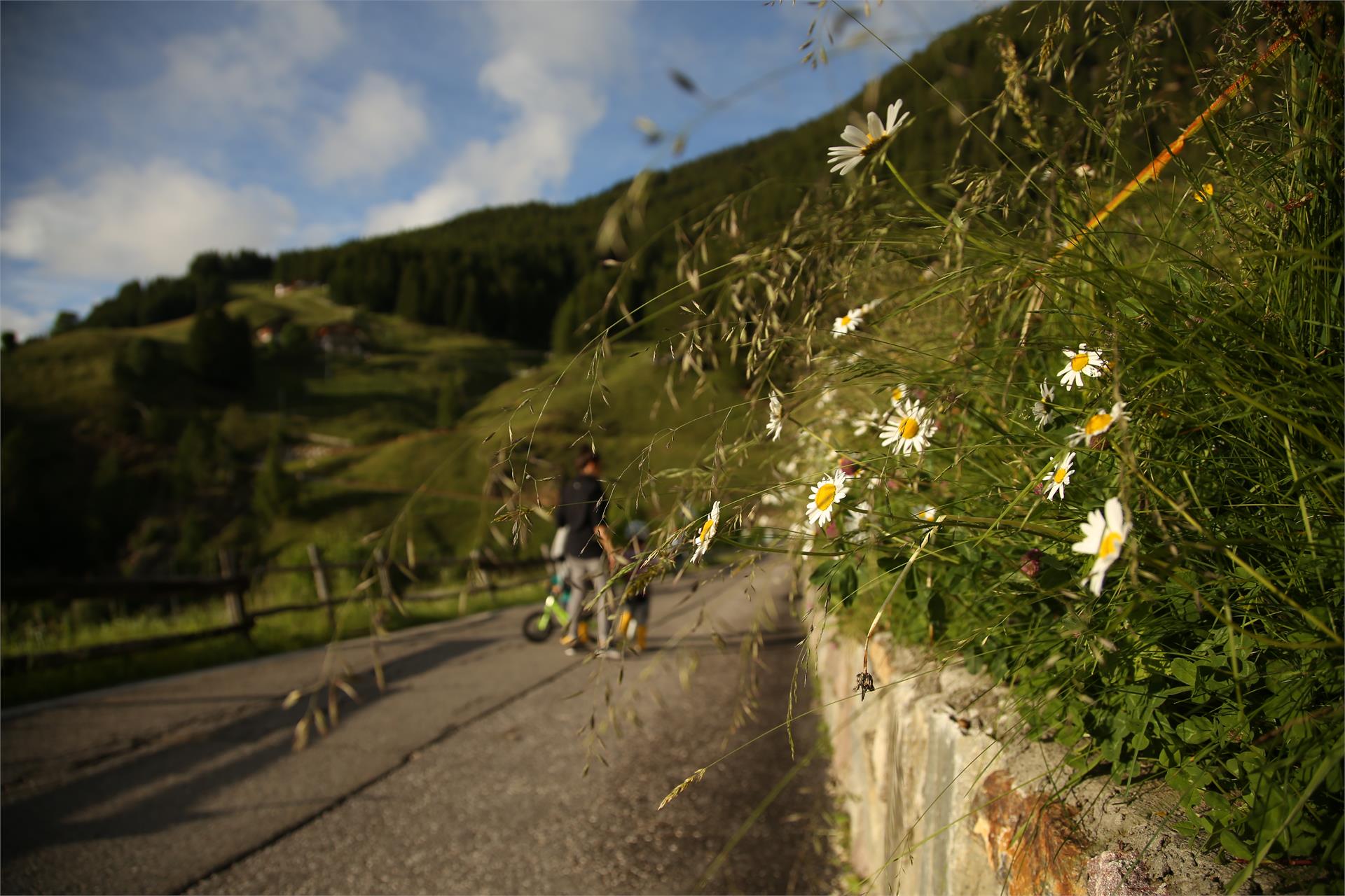 Hofschank Wiesbauer Schenna/Scena 14 suedtirol.info