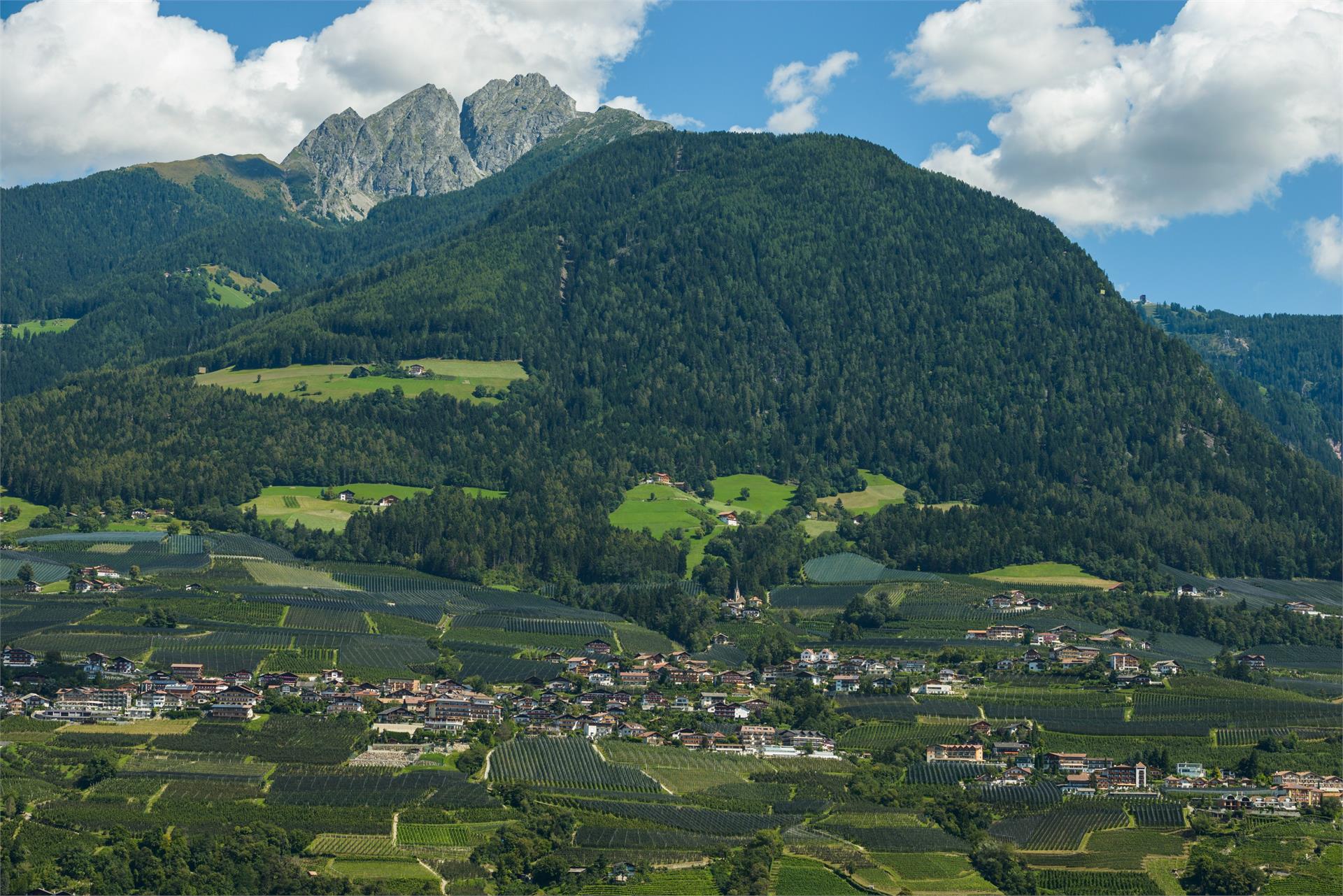 Hotel Klarnerhof Schenna/Scena 6 suedtirol.info