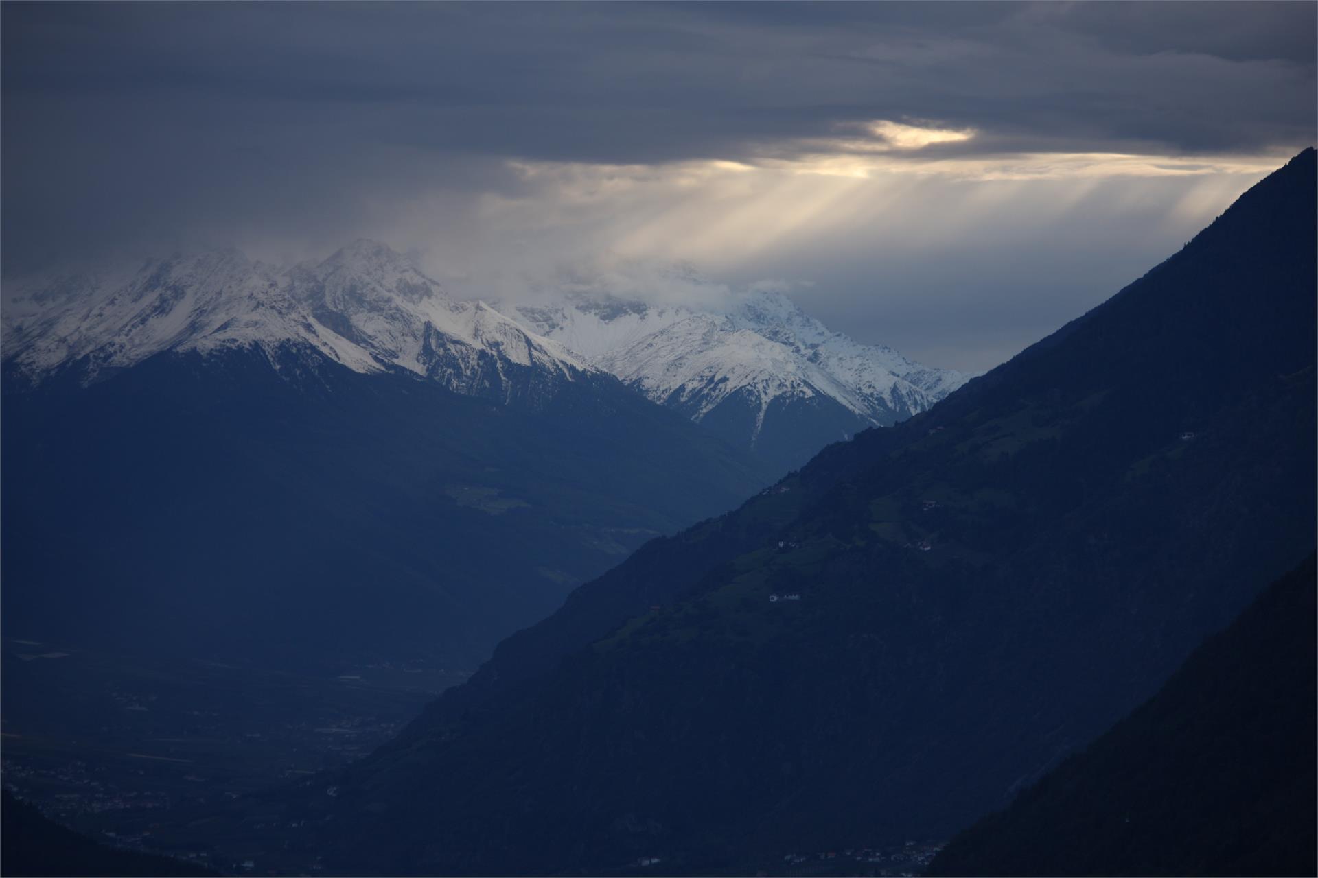 Hoferhof Scena 20 suedtirol.info