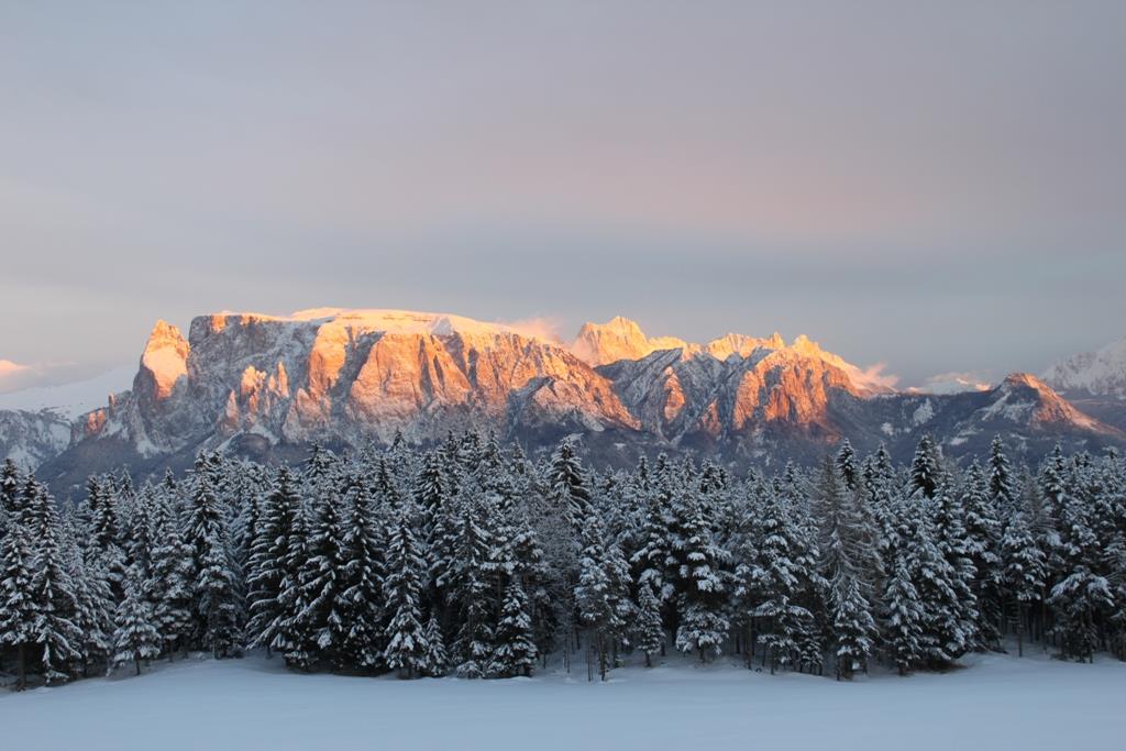 Hotel Tann Ritten/Renon 6 suedtirol.info