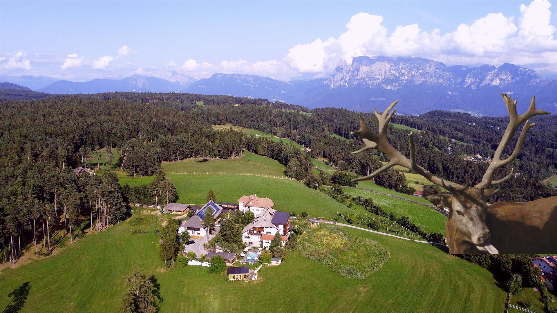 Hotel Naturidylle Geyrerhof Ritten/Renon 10 suedtirol.info