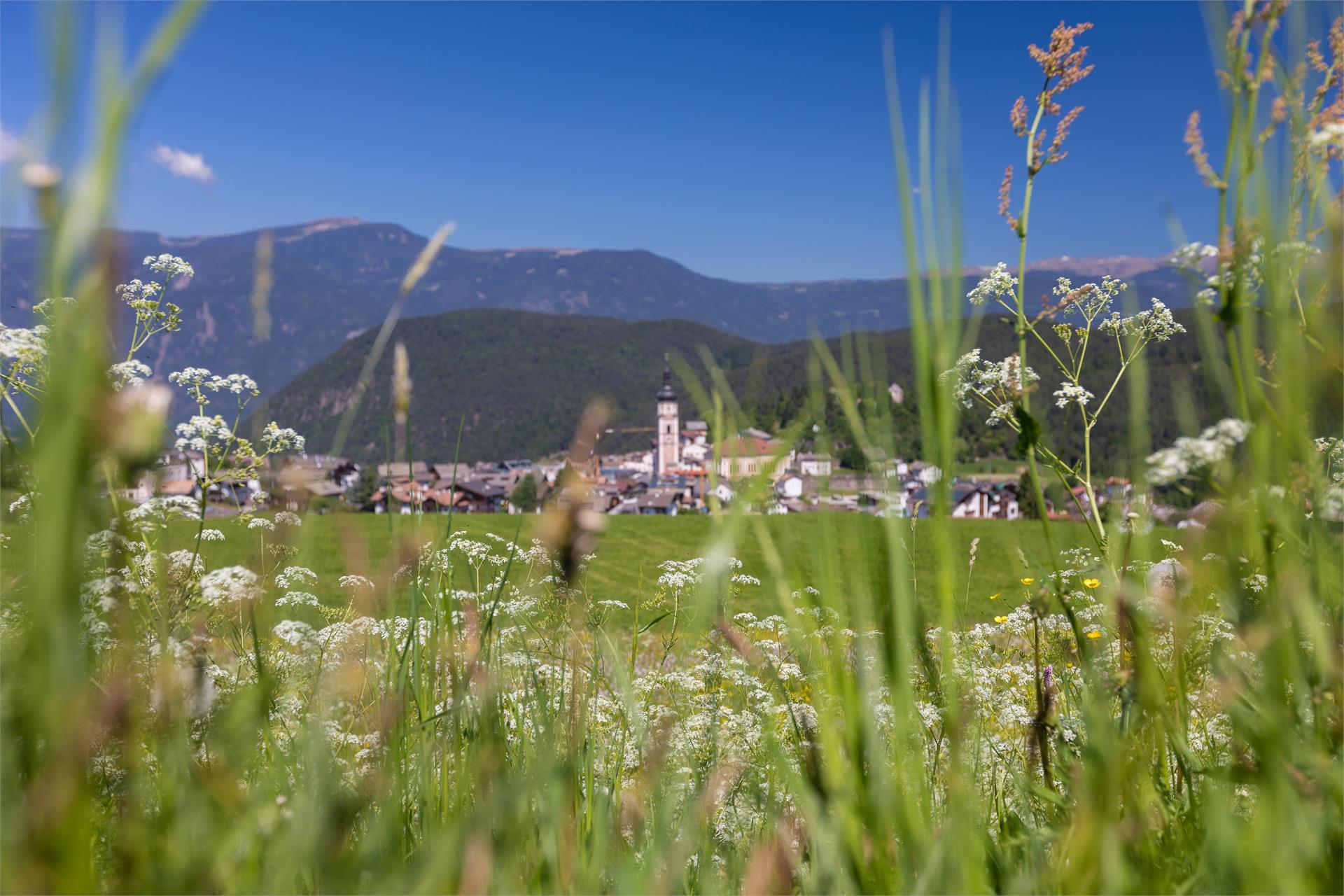 Hotel Rosslaufhof Castelrotto 15 suedtirol.info