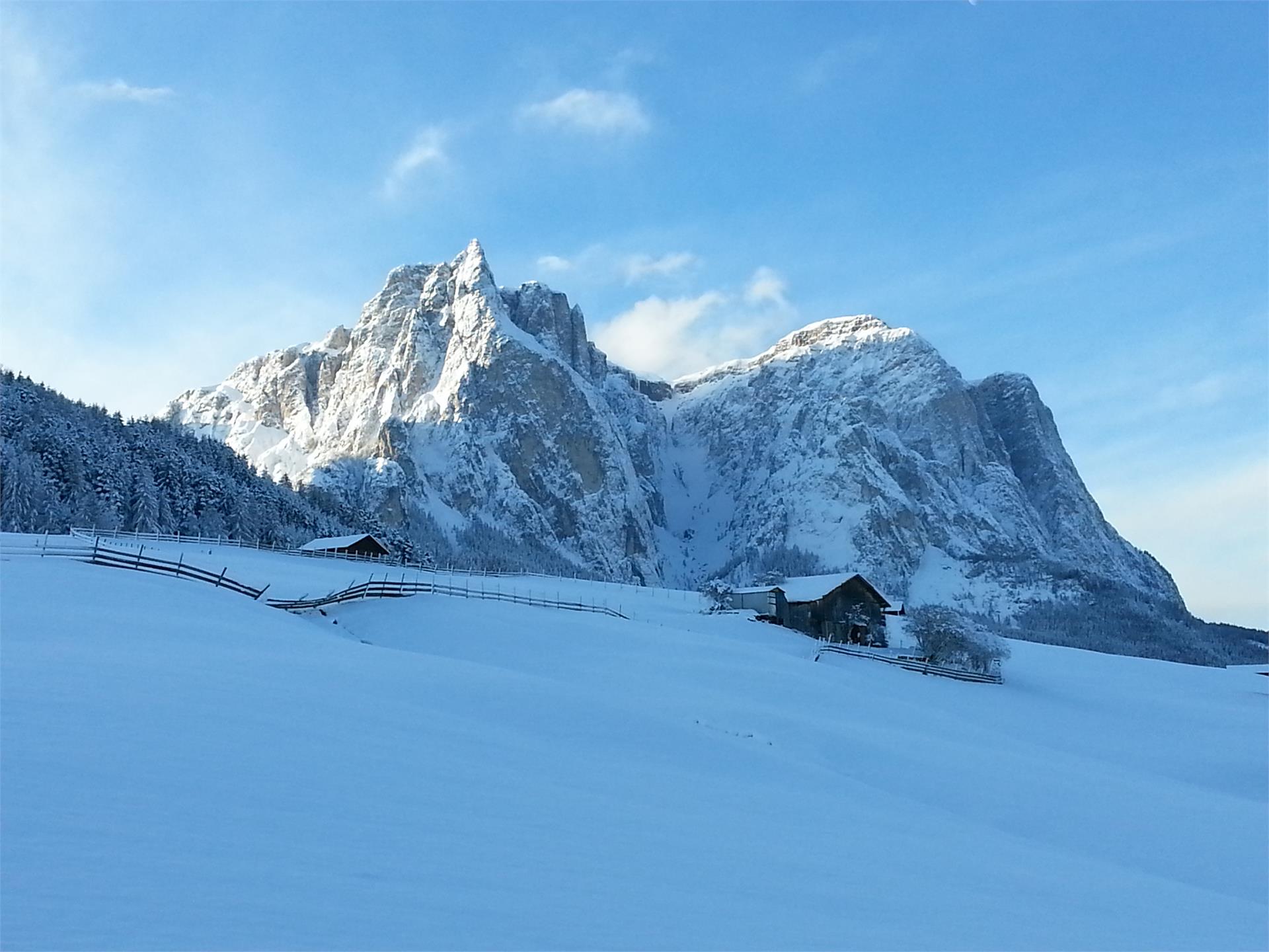 Hotel Rosslaufhof Castelrotto 6 suedtirol.info