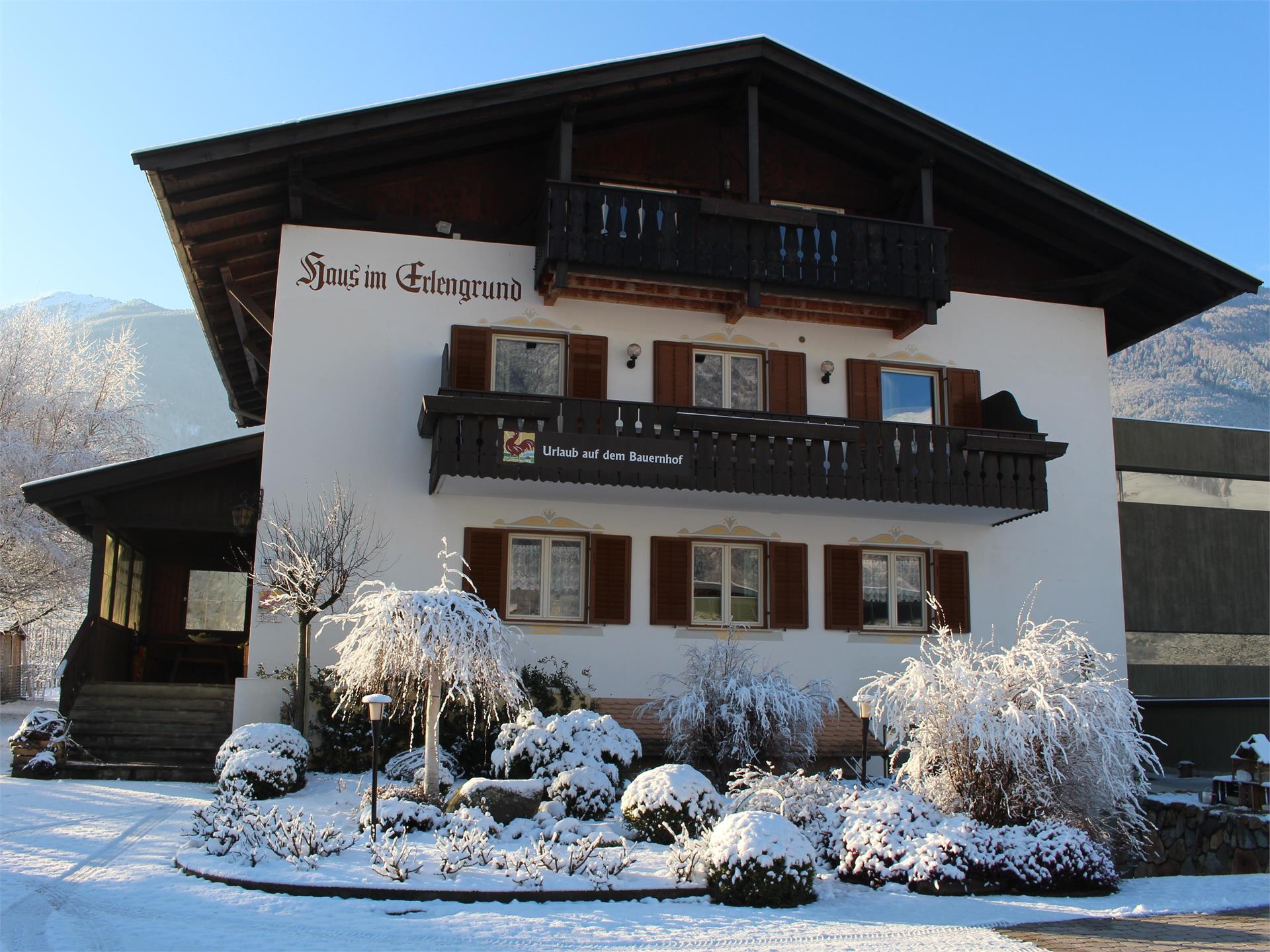 Haus im Erlengrund Latsch/Laces 1 suedtirol.info