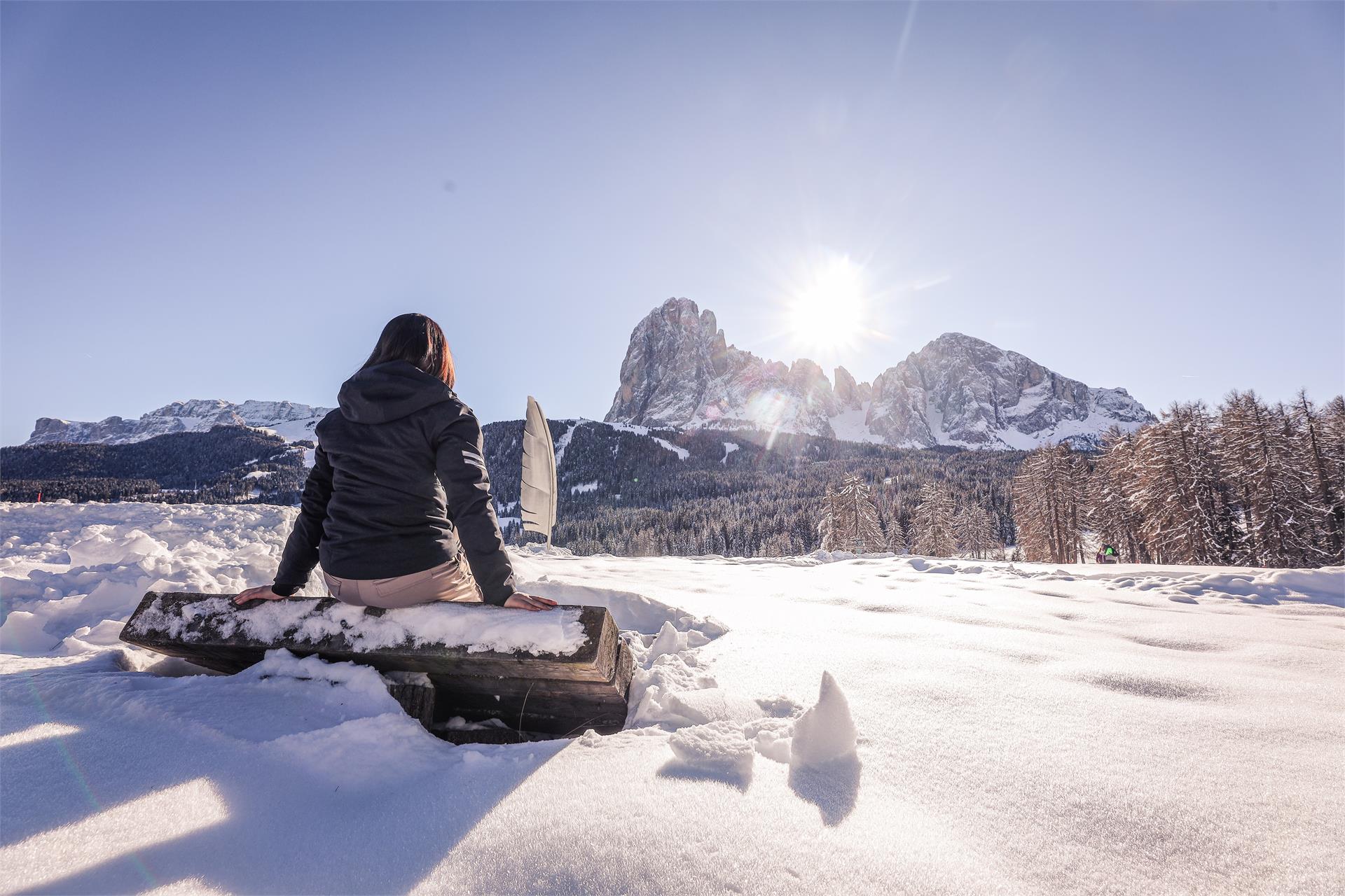 Cendevaves Alpine Silence Hotel Santa Cristina Val Gardena 21 suedtirol.info