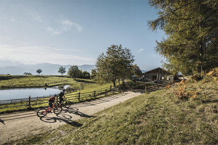 Hotel Traminer Hof Termeno sulla Strada del Vino 18 suedtirol.info