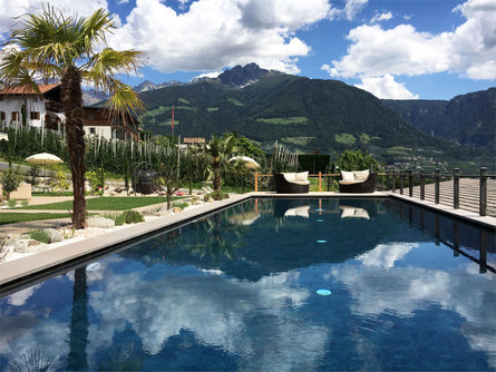 Hotel Ortler Tirol 14 suedtirol.info