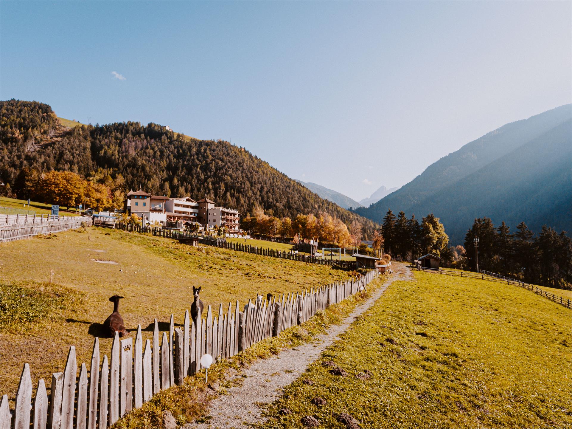 Hotel Bergschlössl Lüsen/Luson 21 suedtirol.info