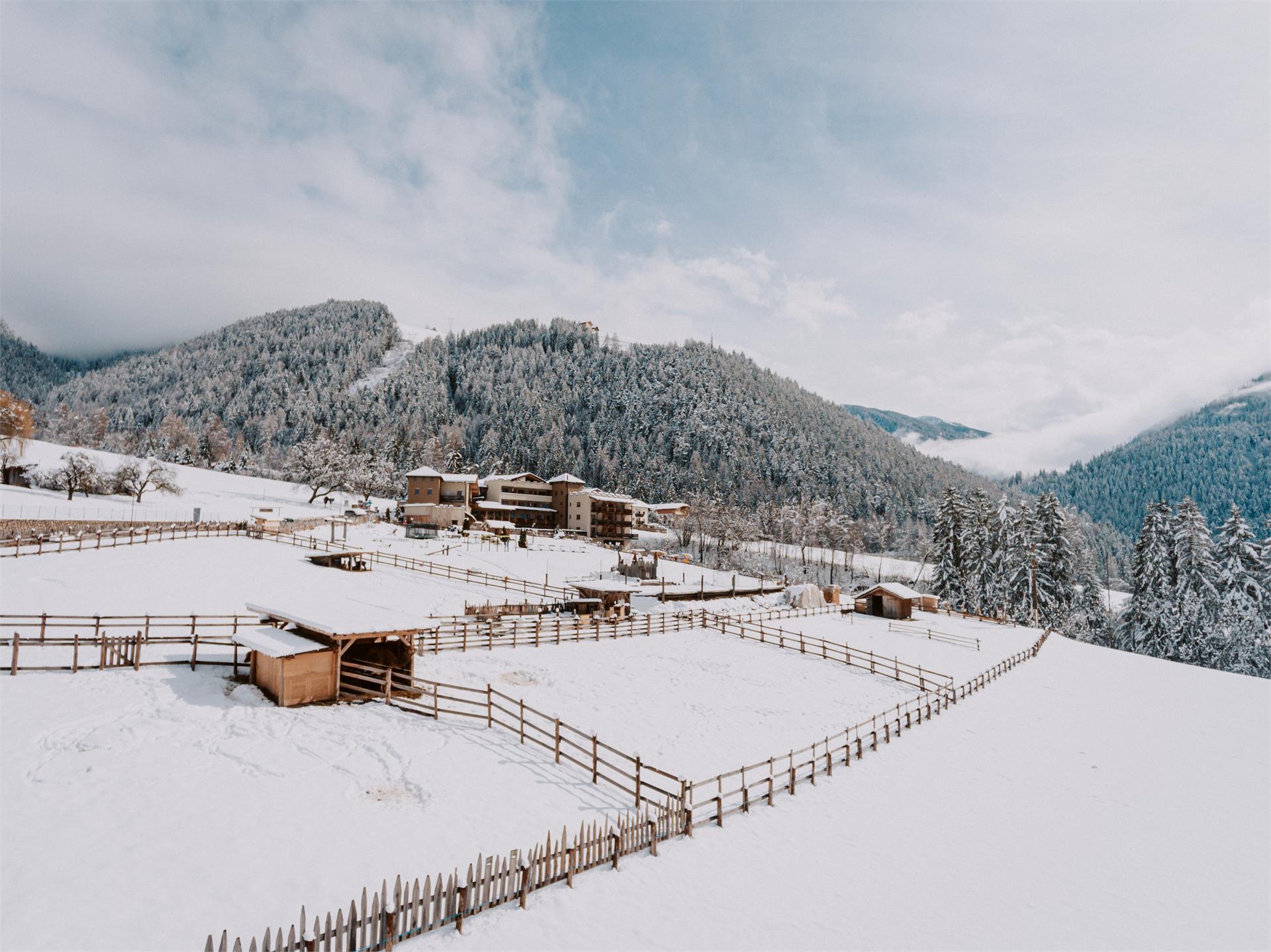 Hotel Bergschlössl Lüsen/Luson 31 suedtirol.info