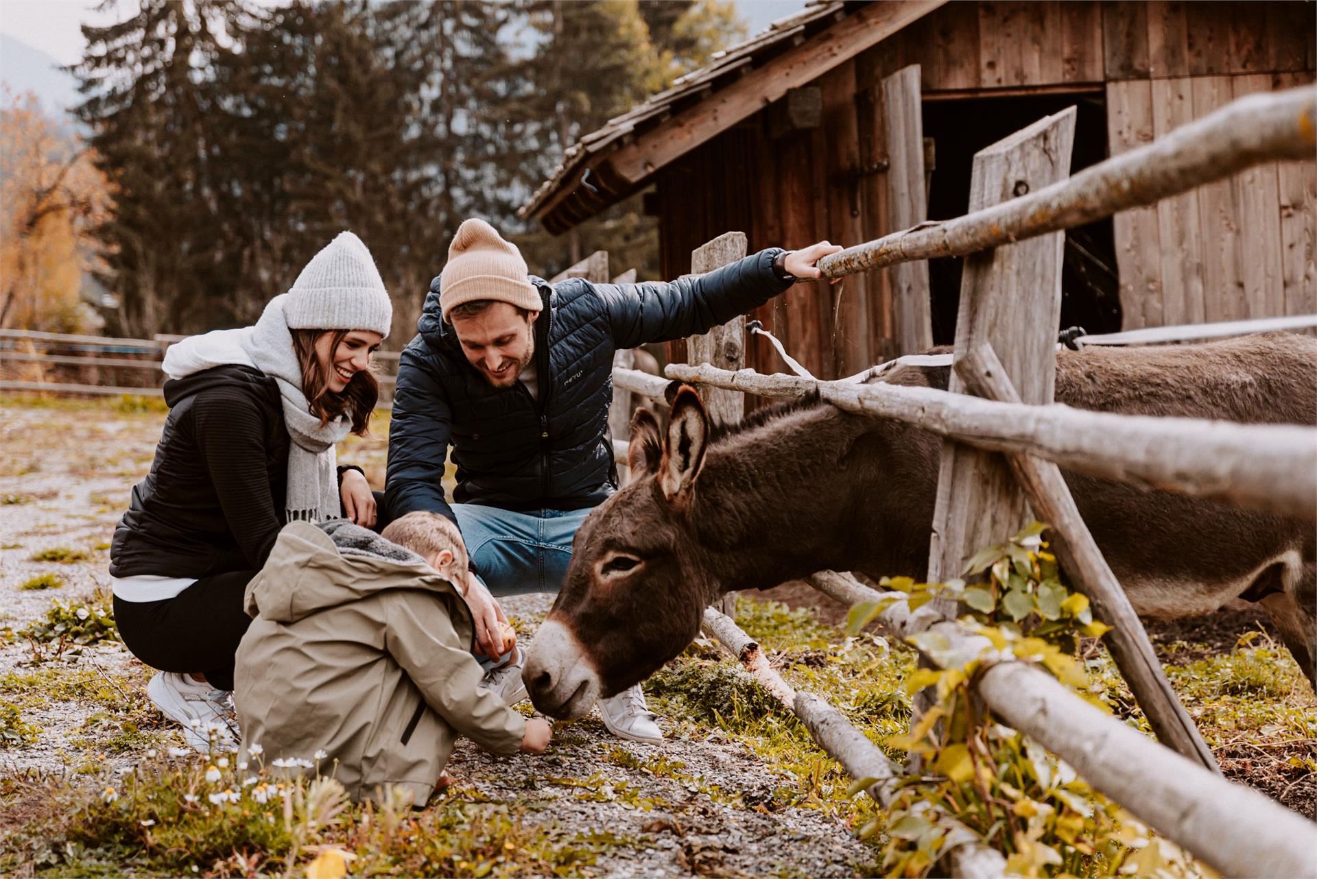 Hotel Bergschlössl Lüsen/Luson 25 suedtirol.info